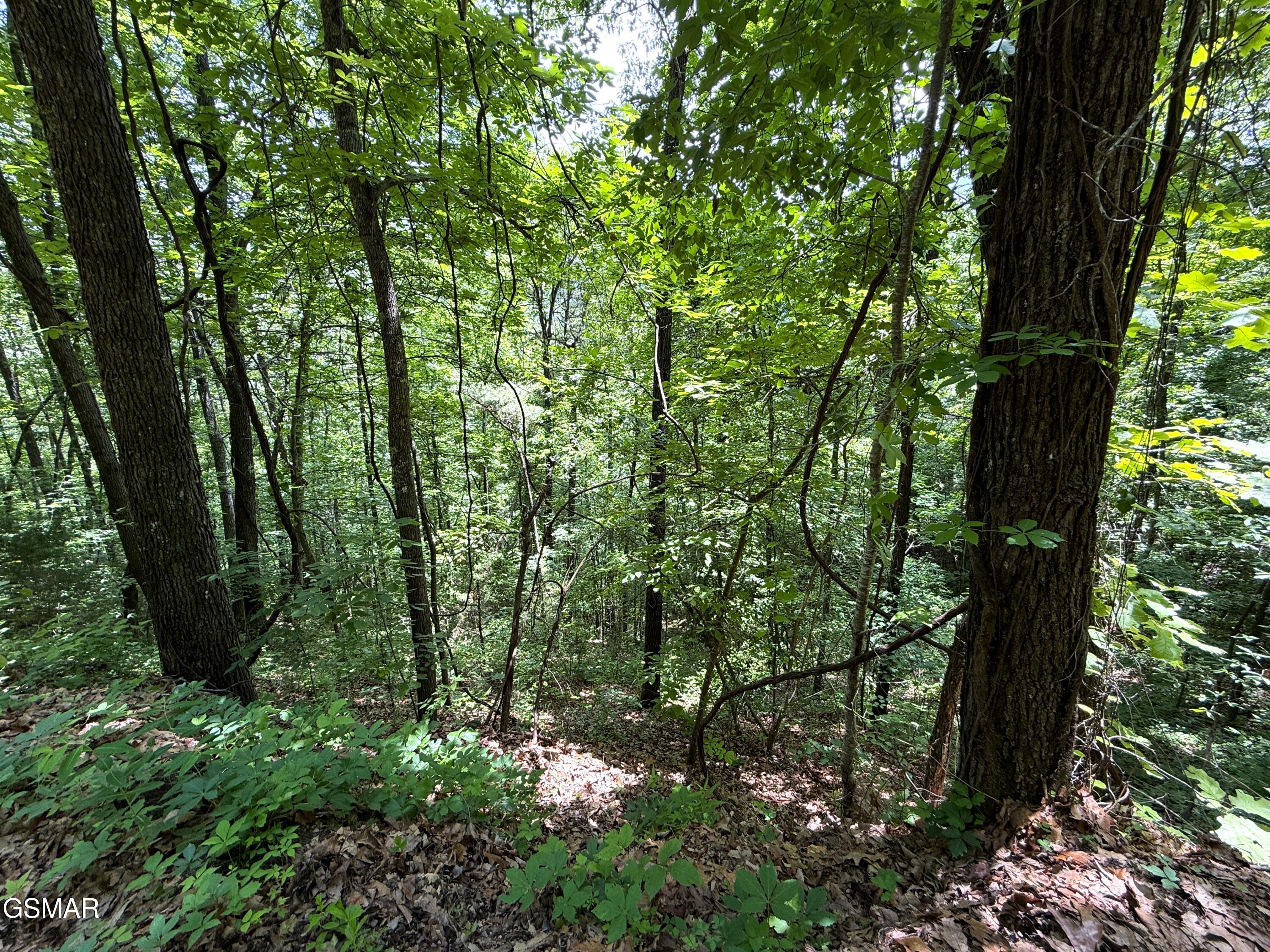 Lot 23 Aintree Drive Sevierville TN 37876