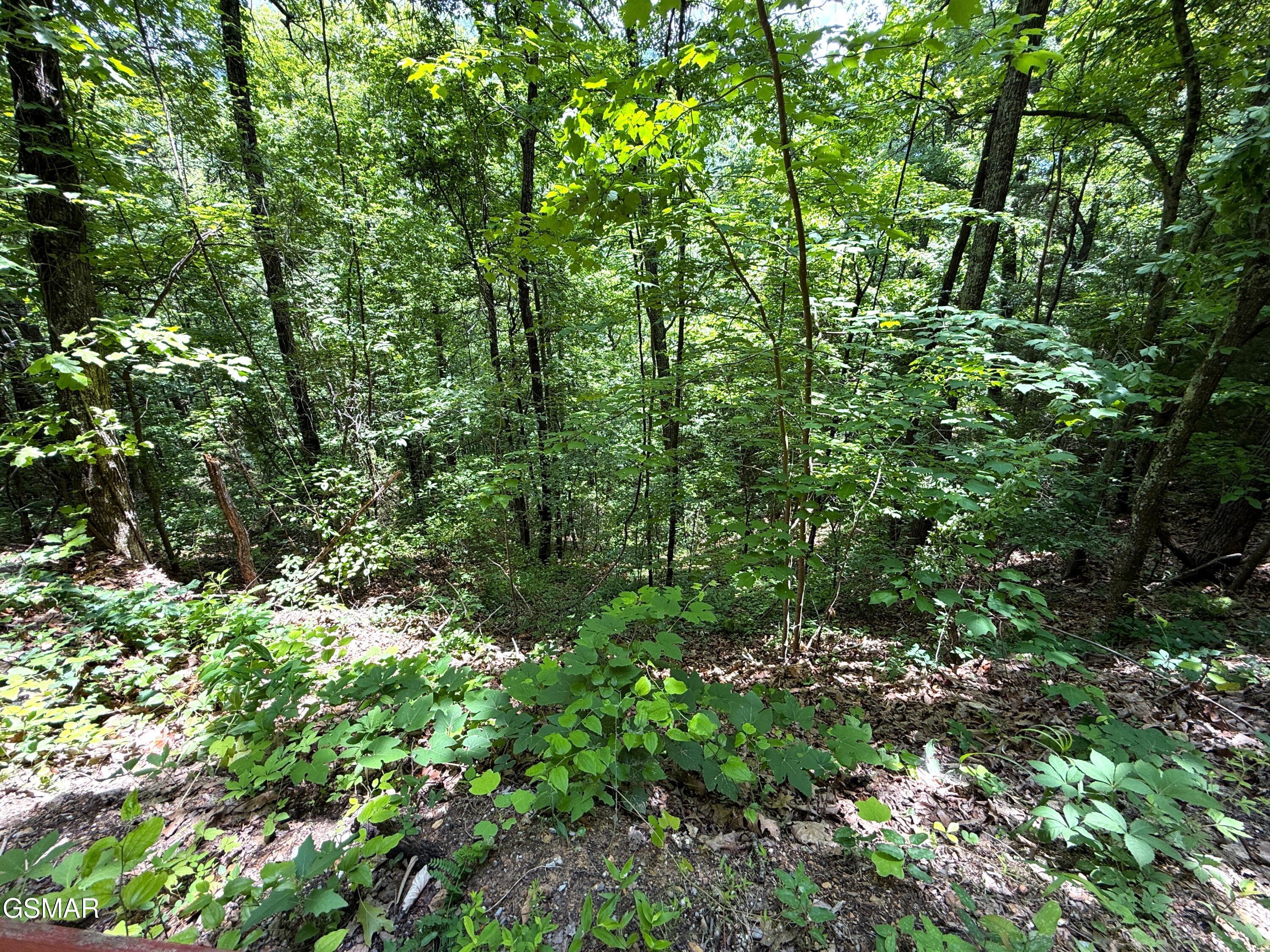 Lot 23 Aintree Drive Sevierville TN 37876