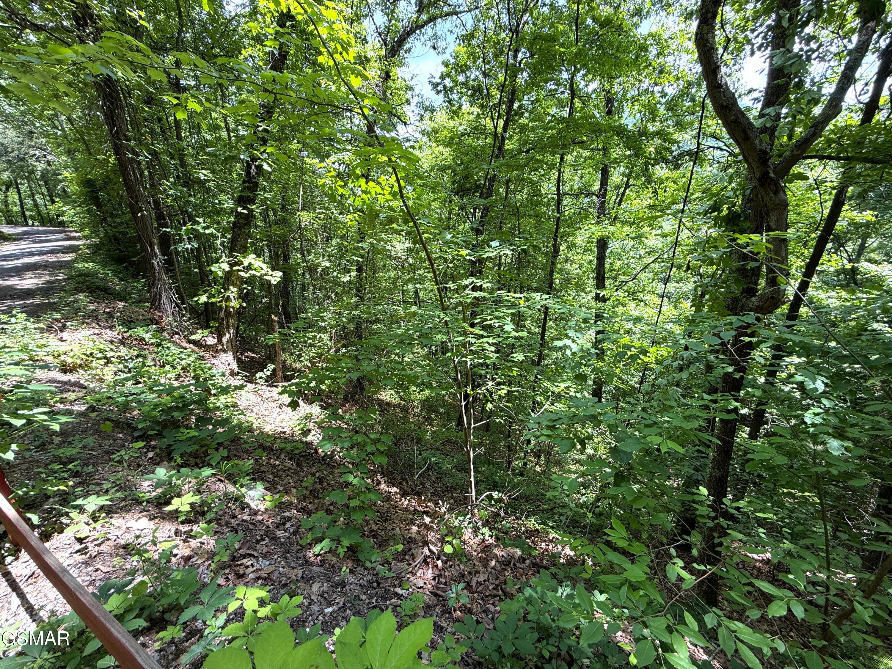 Lot 23 Aintree Drive Sevierville TN 37876