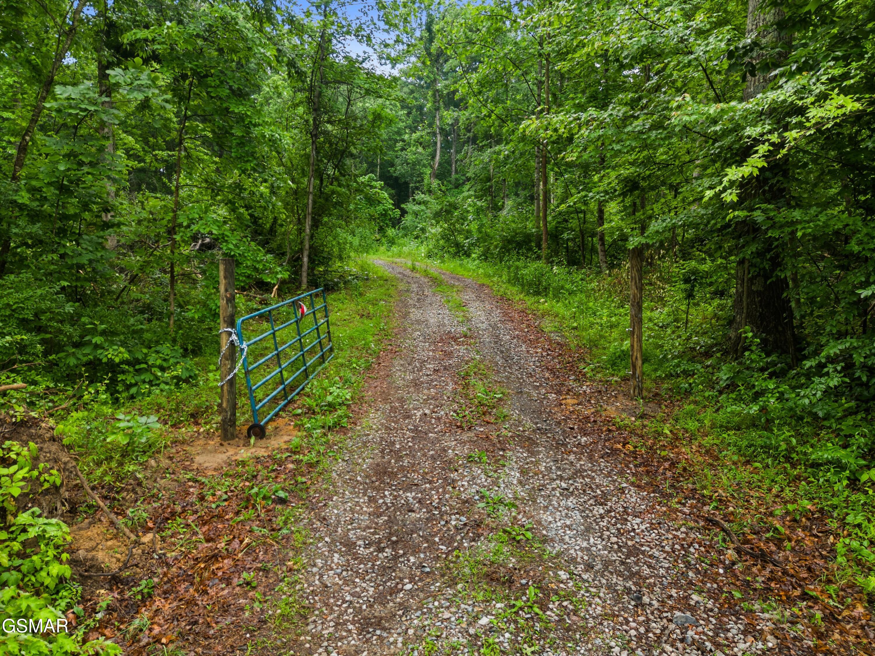 Parcel 16 Mill Springs Road New Market TN 37820