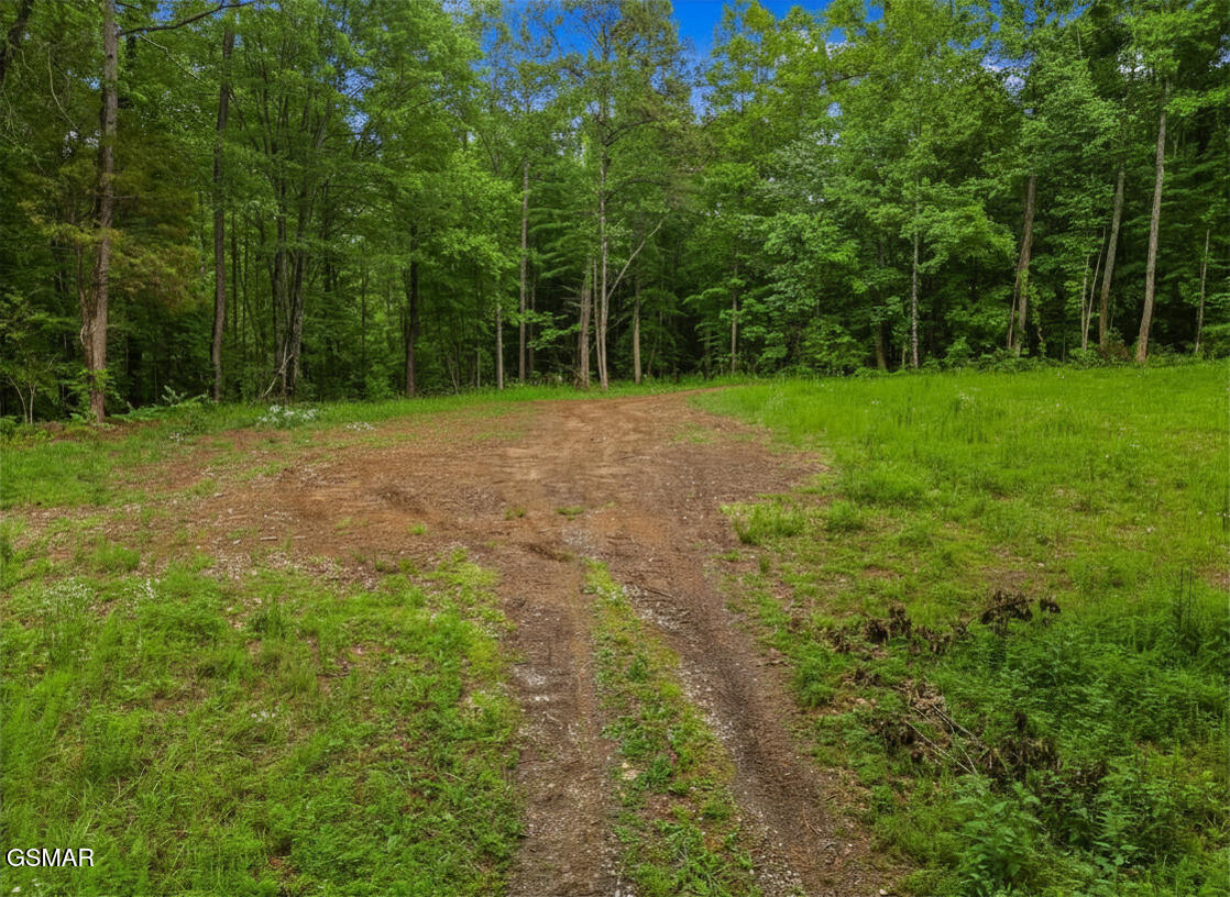 Parcel 16 Mill Springs Road New Market TN 37820