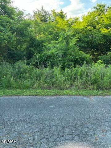 Lot 52 Mary Alice Way Sevierville TN 37876