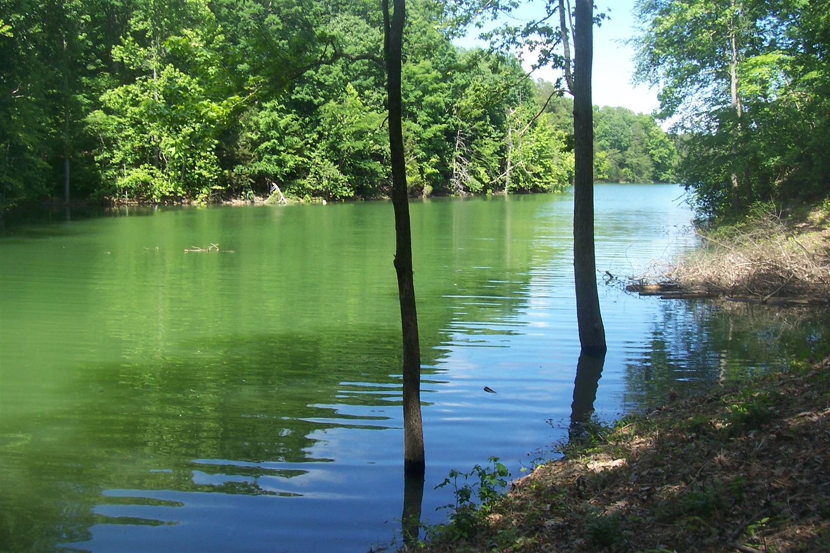 Par 005.00 Aaron Street Sevierville TN 37876
