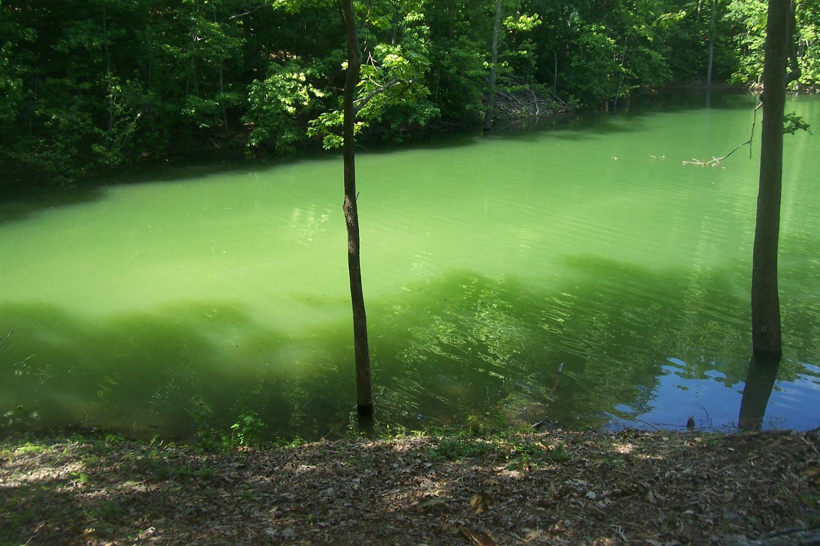 Par 005.00 Aaron Street Sevierville TN 37876