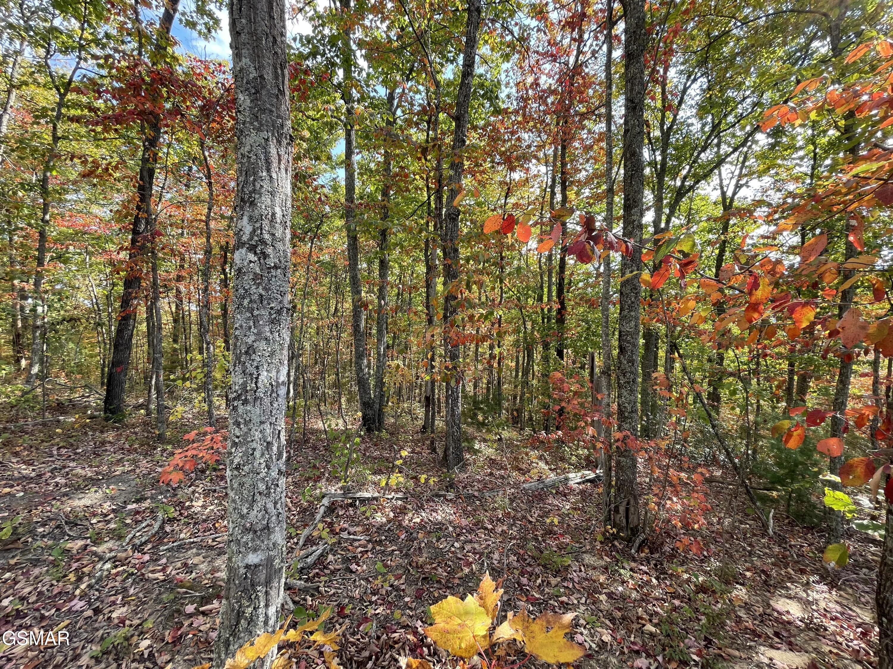 Lots 2/3/4 Sulpher Springs Way Sevierville TN 37862