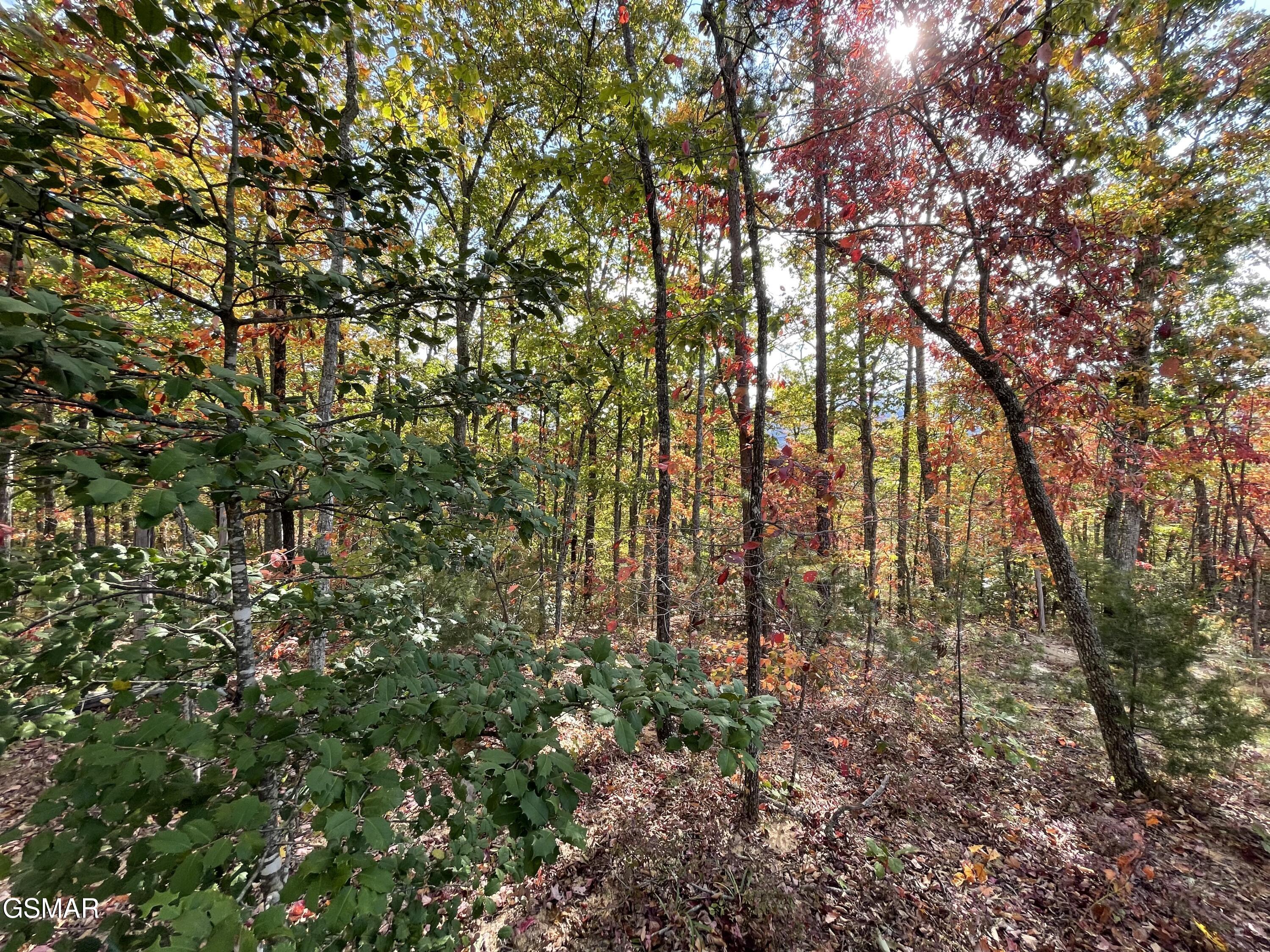 Lots 2/3/4 Sulpher Springs Way Sevierville TN 37862