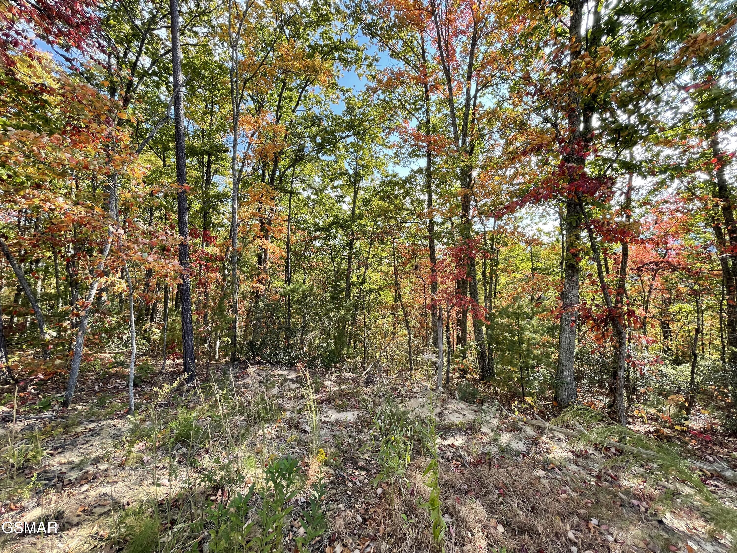 Lots 2/3/4 Sulpher Springs Way Sevierville TN 37862