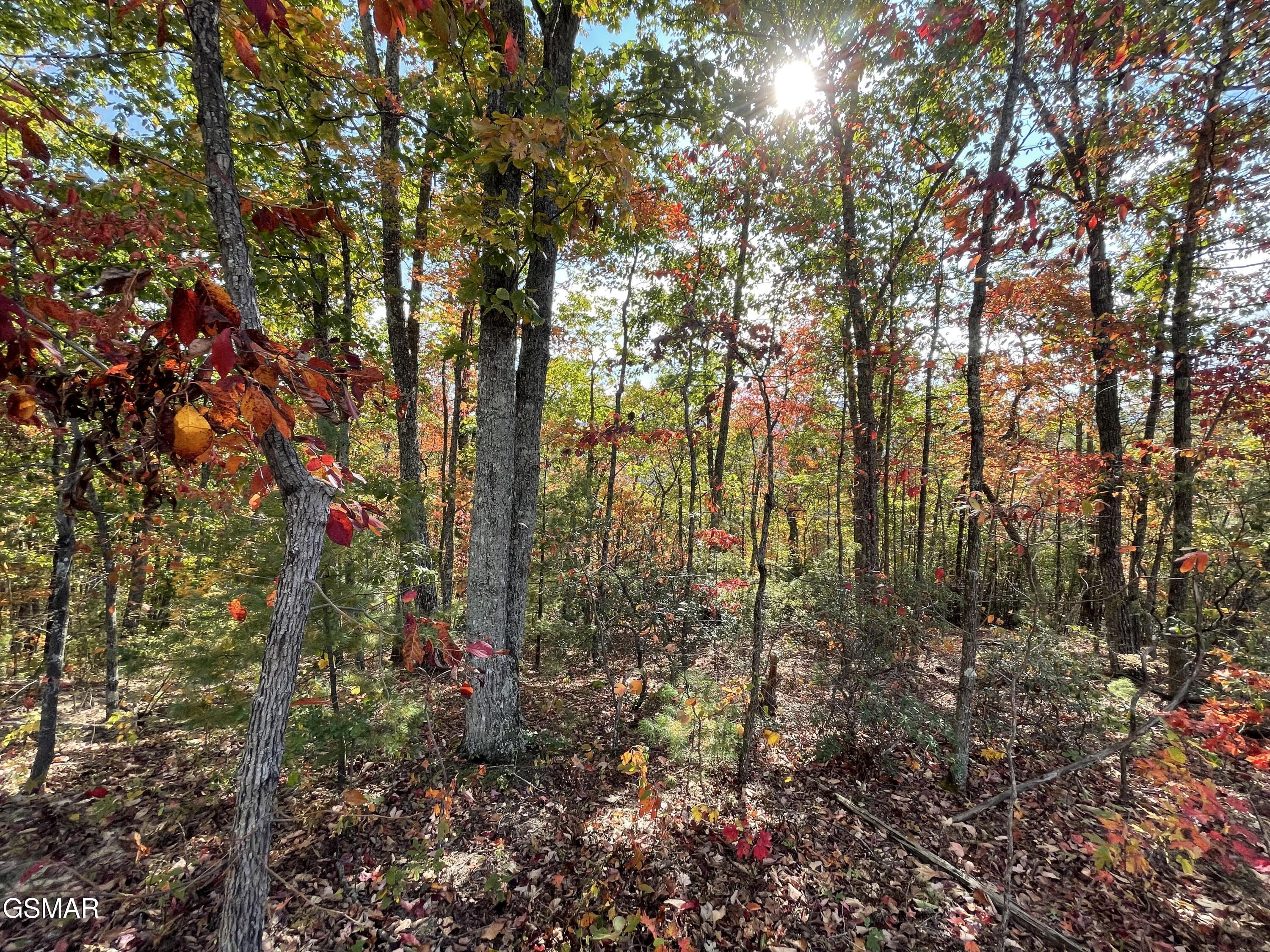 Lots 2/3/4 Sulpher Springs Way Sevierville TN 37862