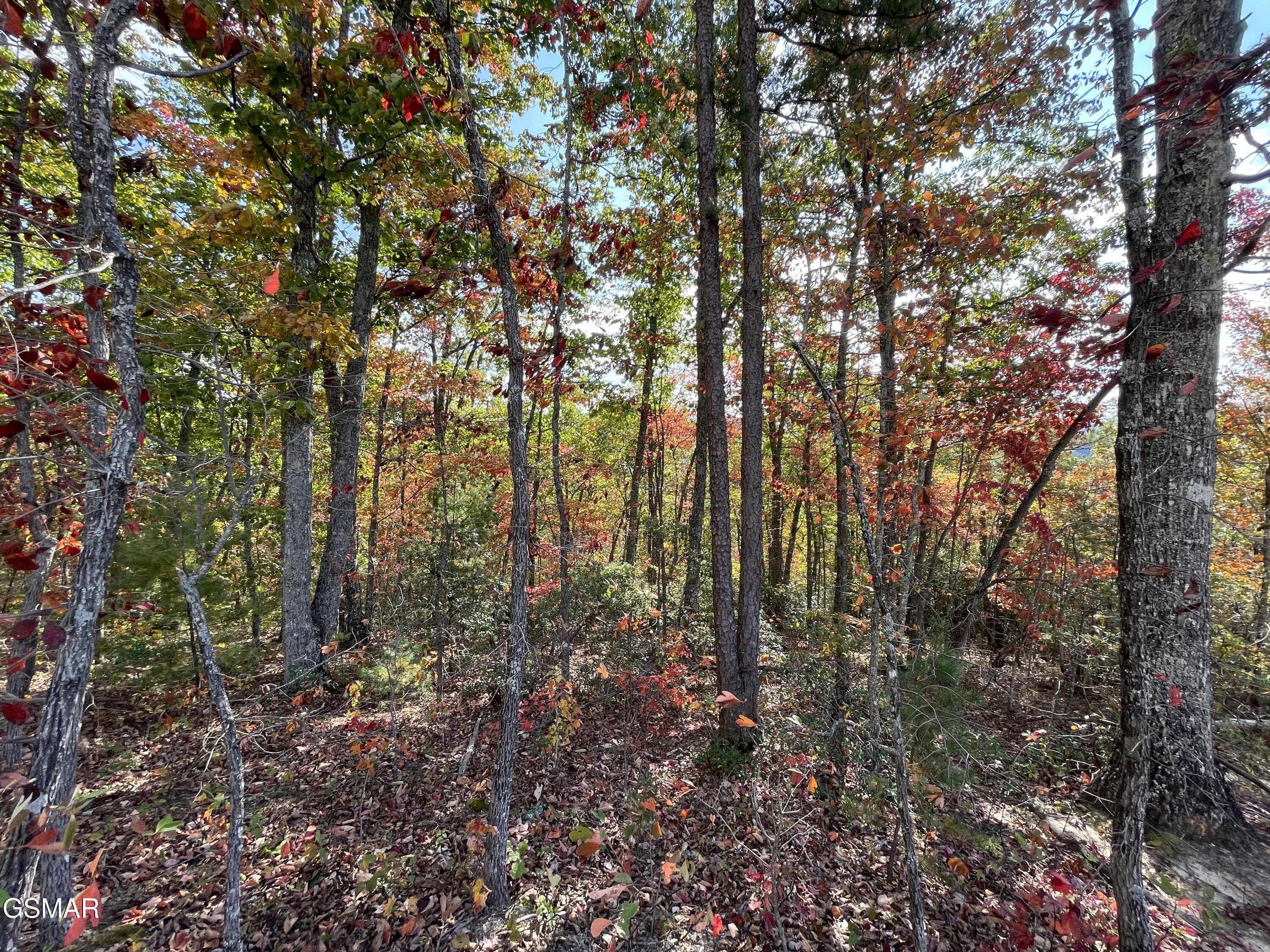 Lots 2/3/4 Sulpher Springs Way Sevierville TN 37862
