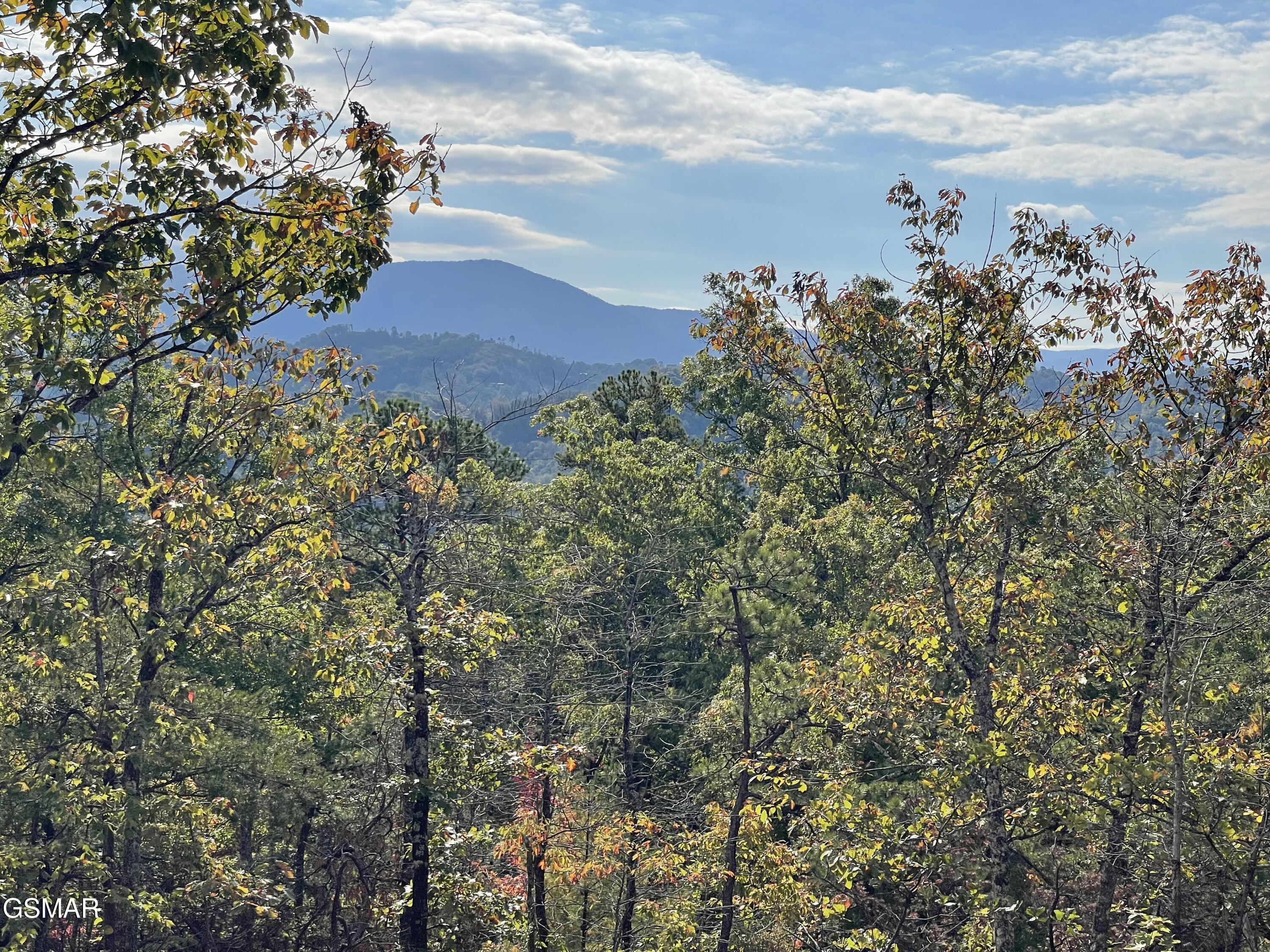 Lots 2/3/4 Sulpher Springs Way Sevierville TN 37862