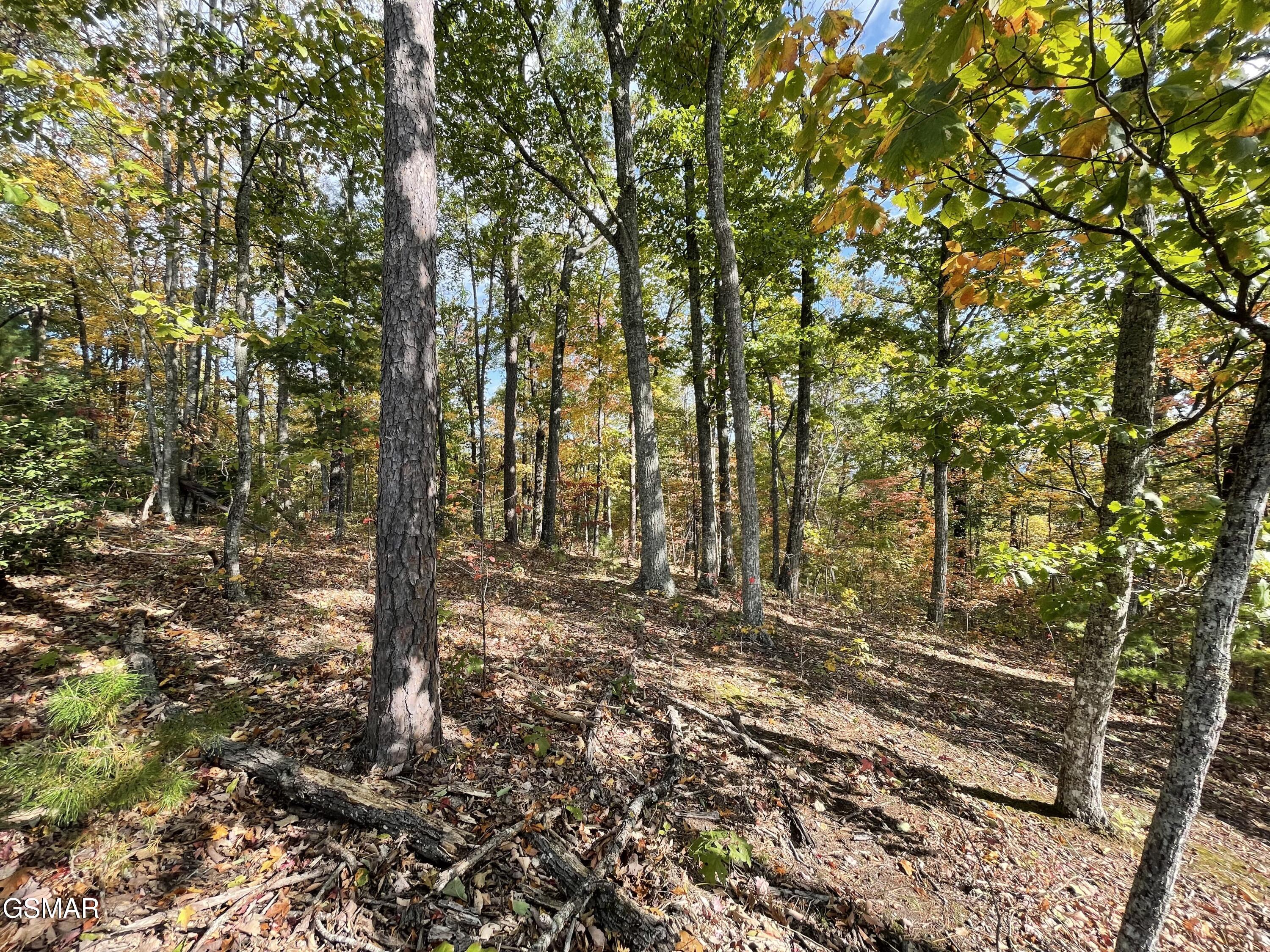 Lots 2/3/4 Sulpher Springs Way Sevierville TN 37862
