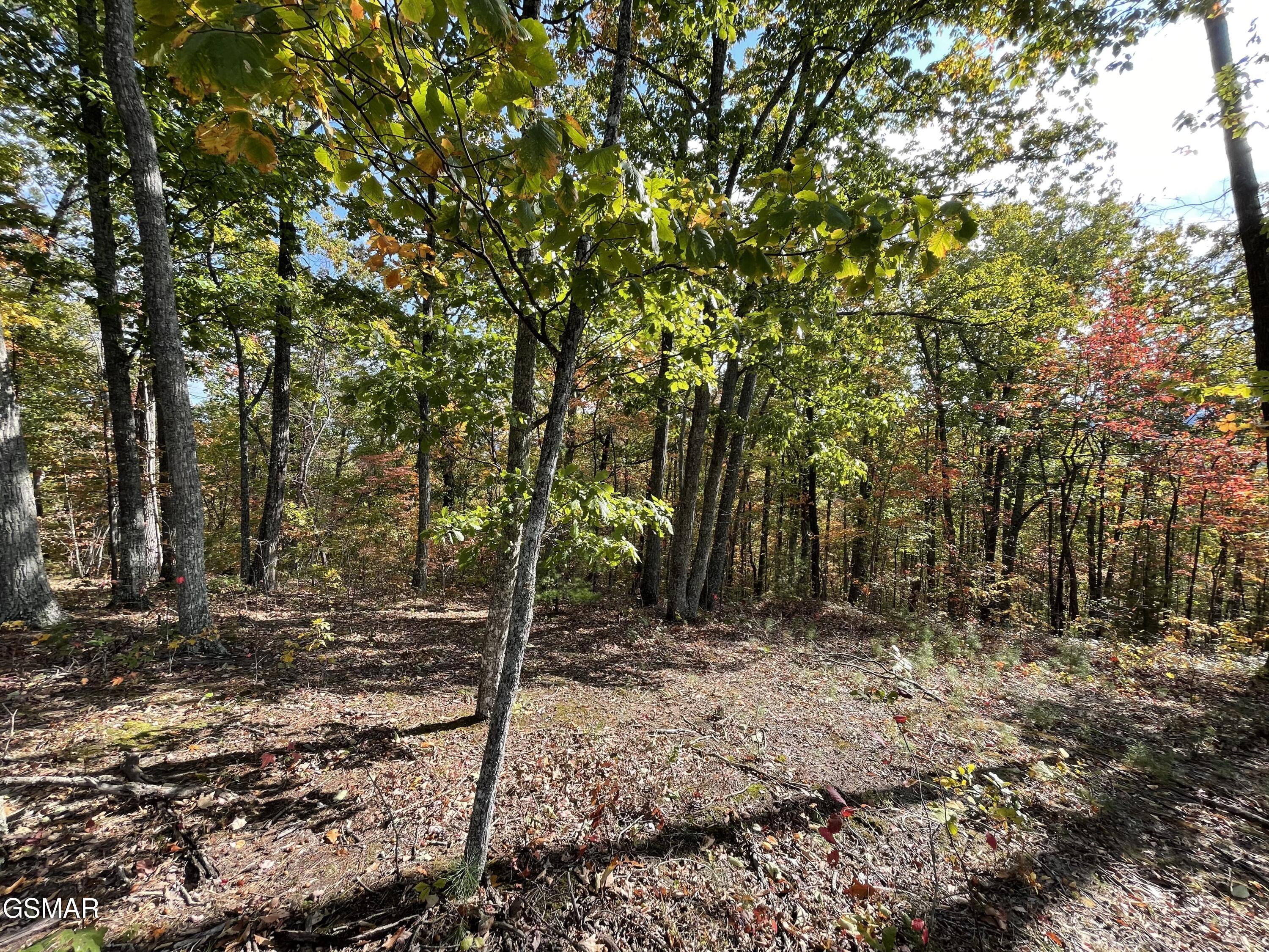 Lots 2/3/4 Sulpher Springs Way Sevierville TN 37862