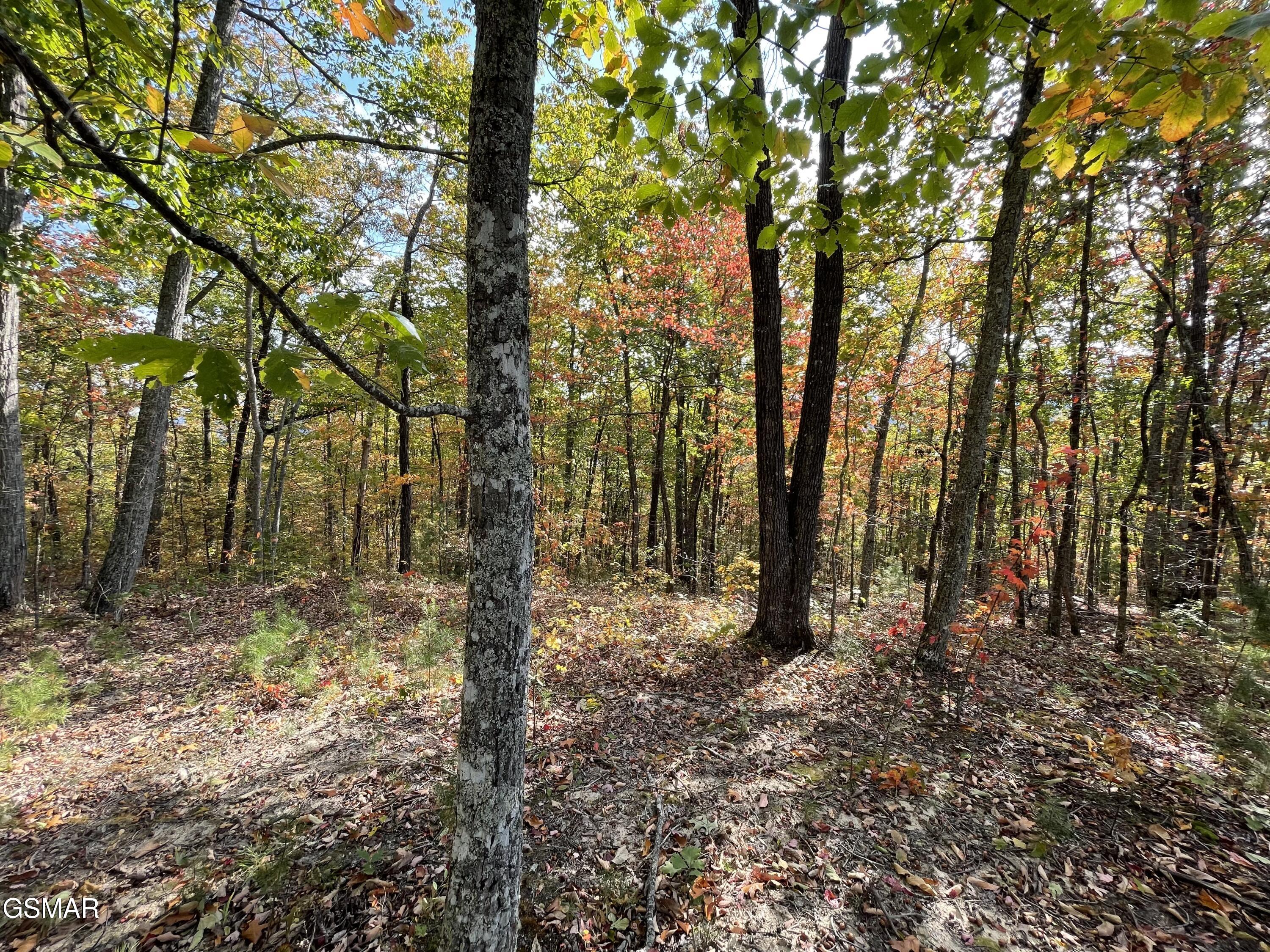 Lots 2/3/4 Sulpher Springs Way Sevierville TN 37862