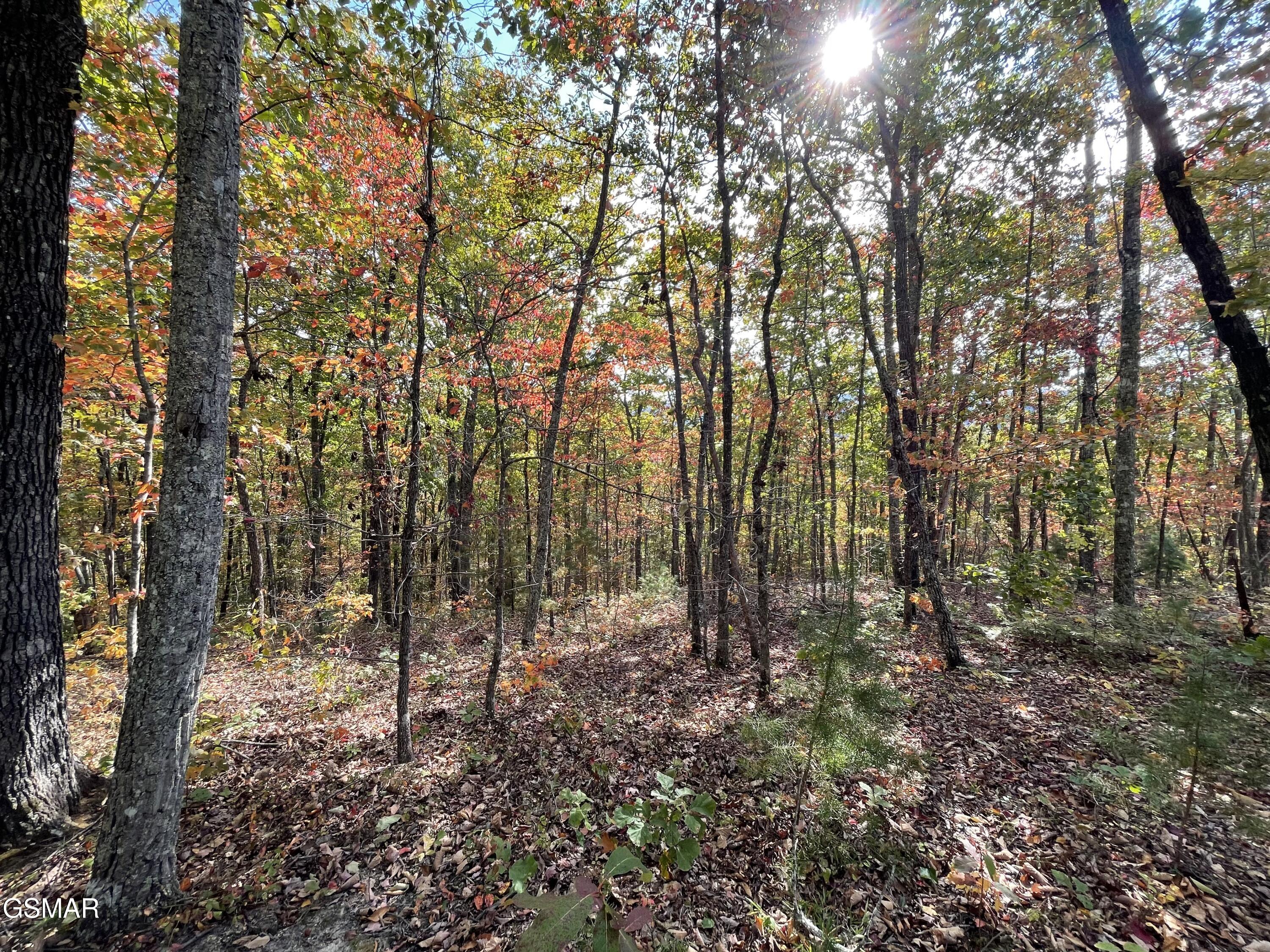 Lots 2/3/4 Sulpher Springs Way Sevierville TN 37862