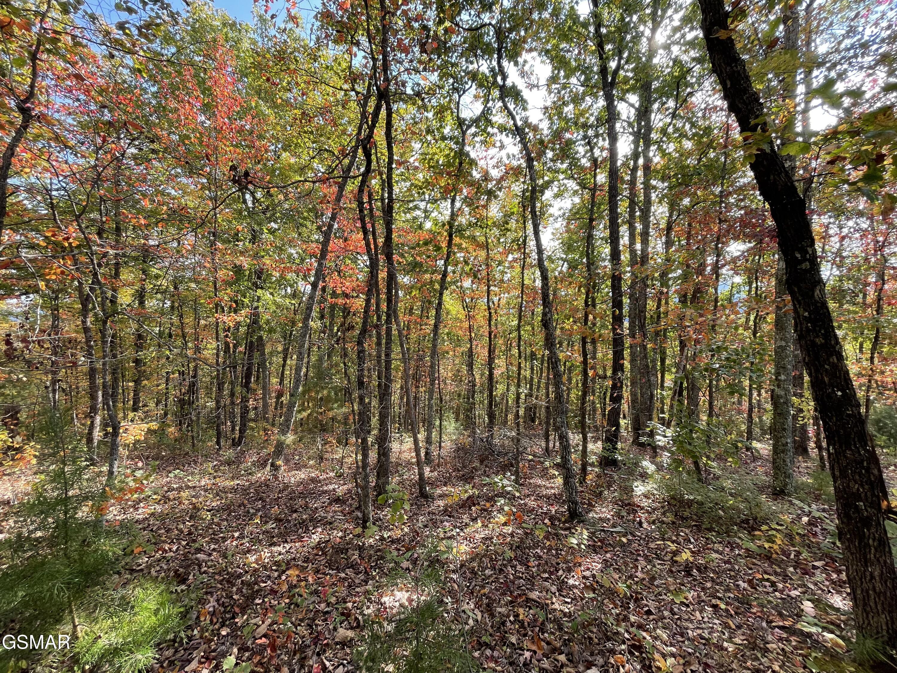 Lots 2/3/4 Sulpher Springs Way Sevierville TN 37862