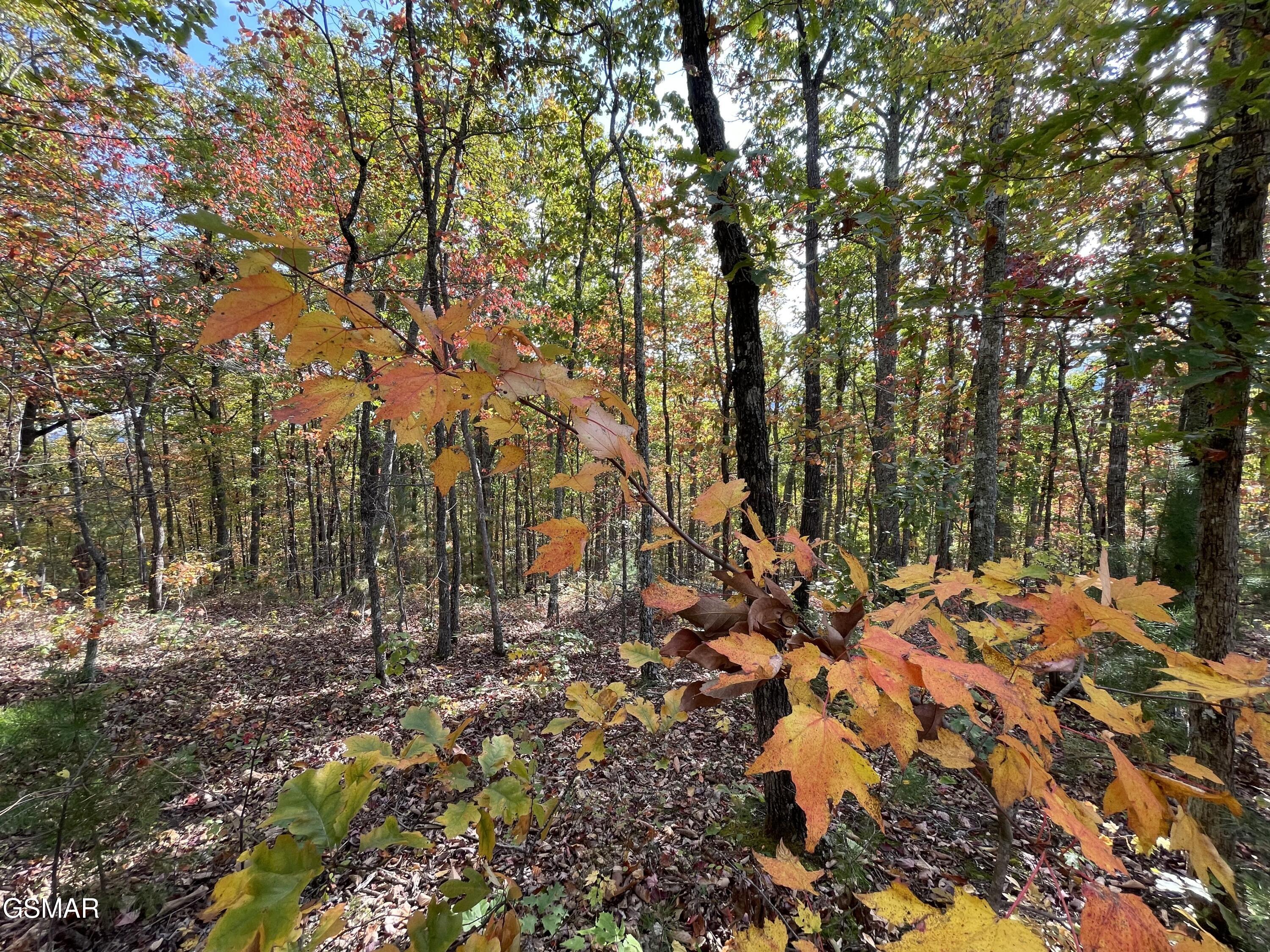 Lots 2/3/4 Sulpher Springs Way Sevierville TN 37862