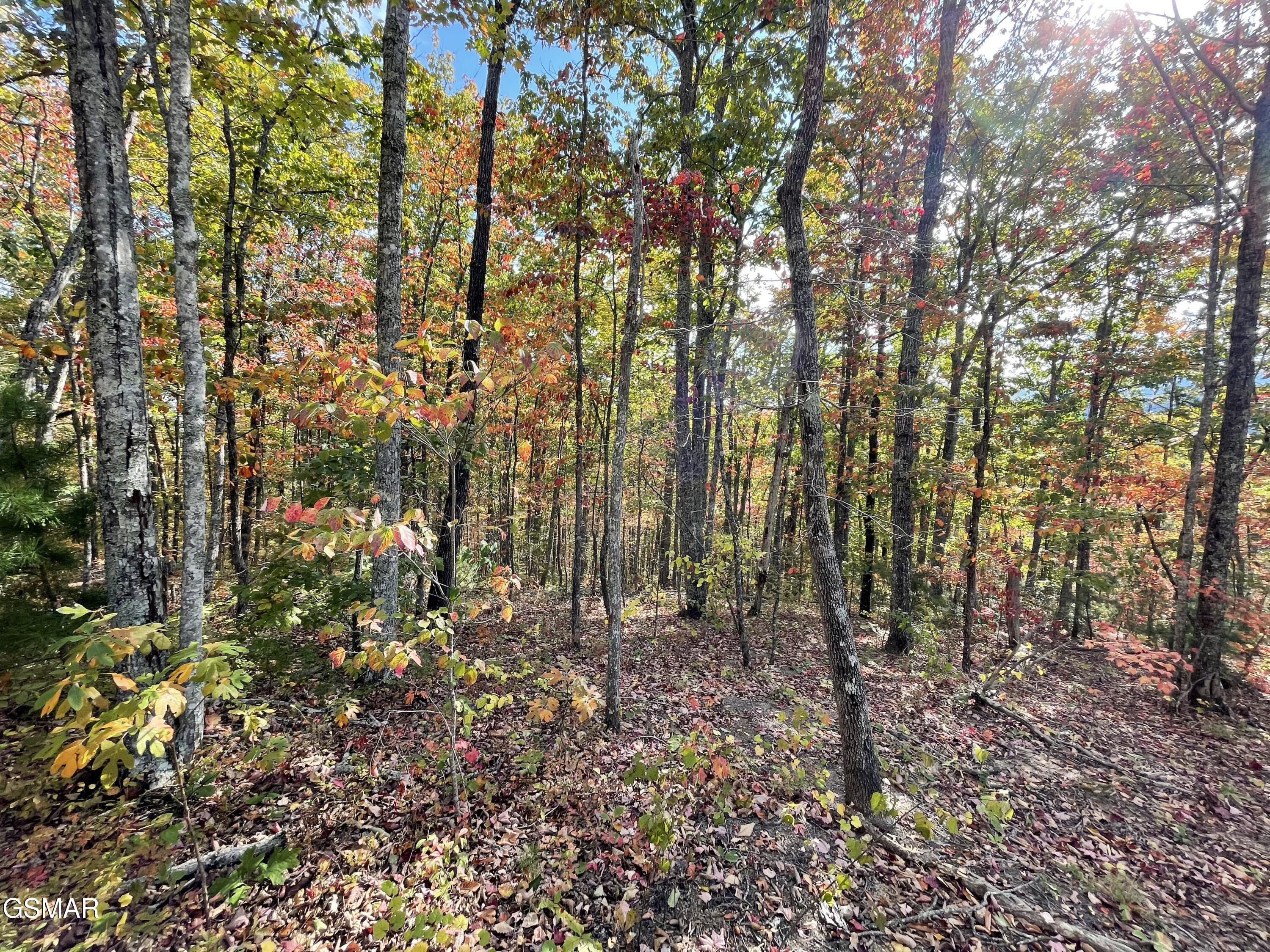 Lots 2/3/4 Sulpher Springs Way Sevierville TN 37862