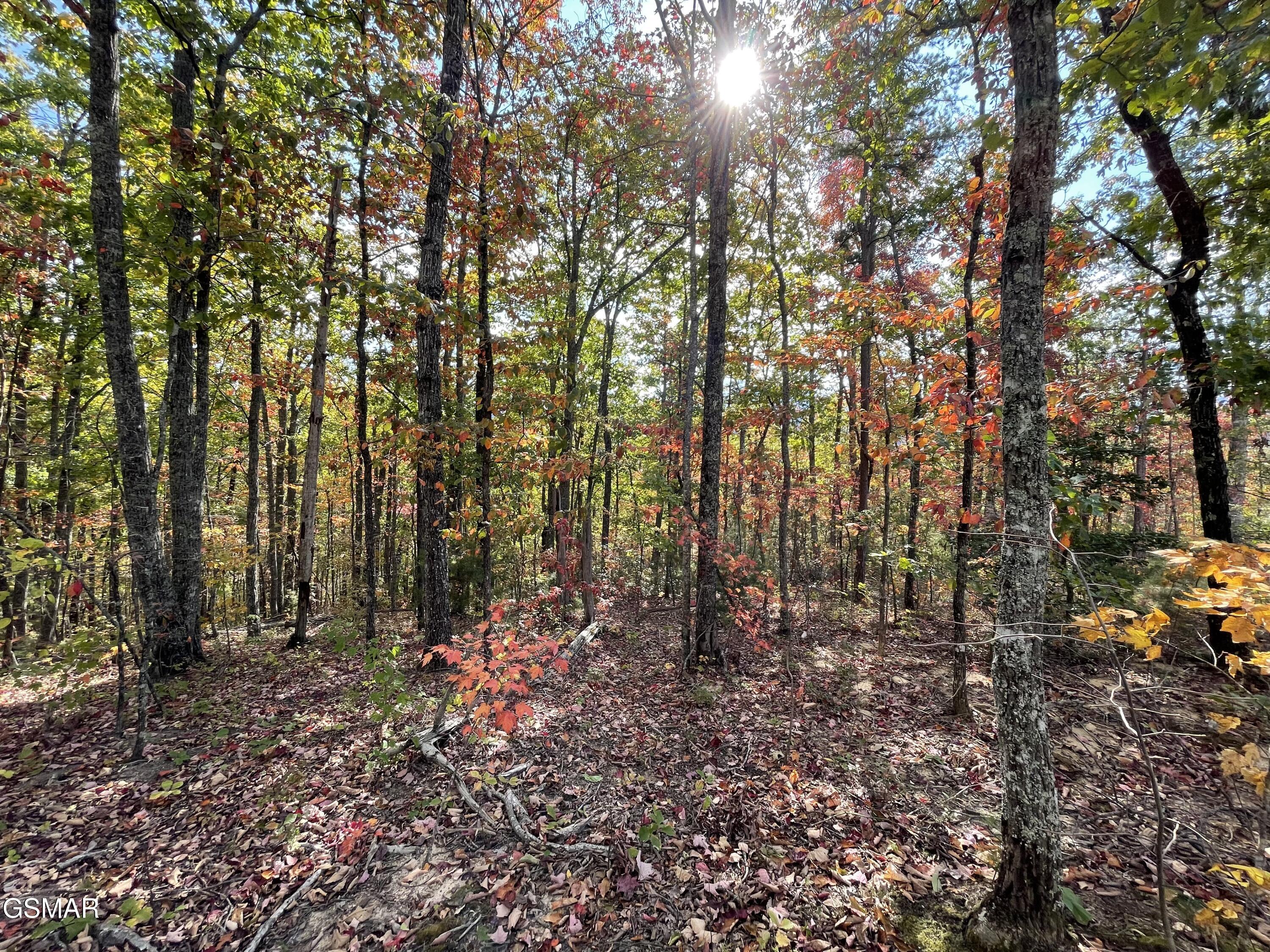 Lots 2/3/4 Sulpher Springs Way Sevierville TN 37862