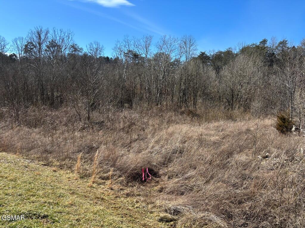 057.04 Gists Creek Road Sevierville TN 37876