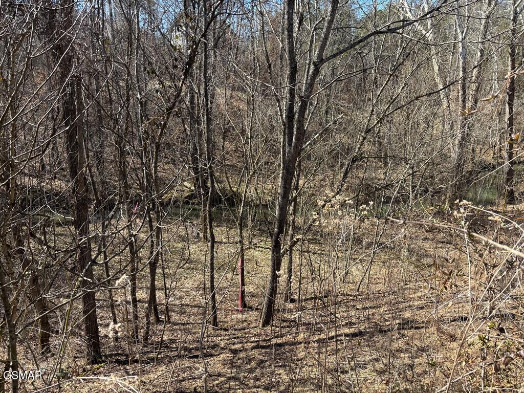 057.04 Gists Creek Road Sevierville TN 37876