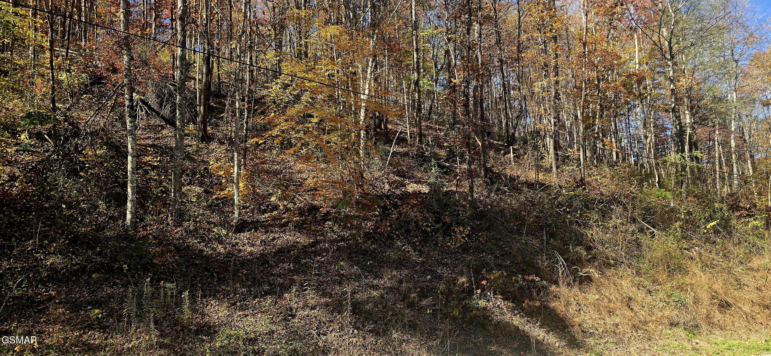 Lot 0008 Emerald Springs Loop Sevierville TN 37862