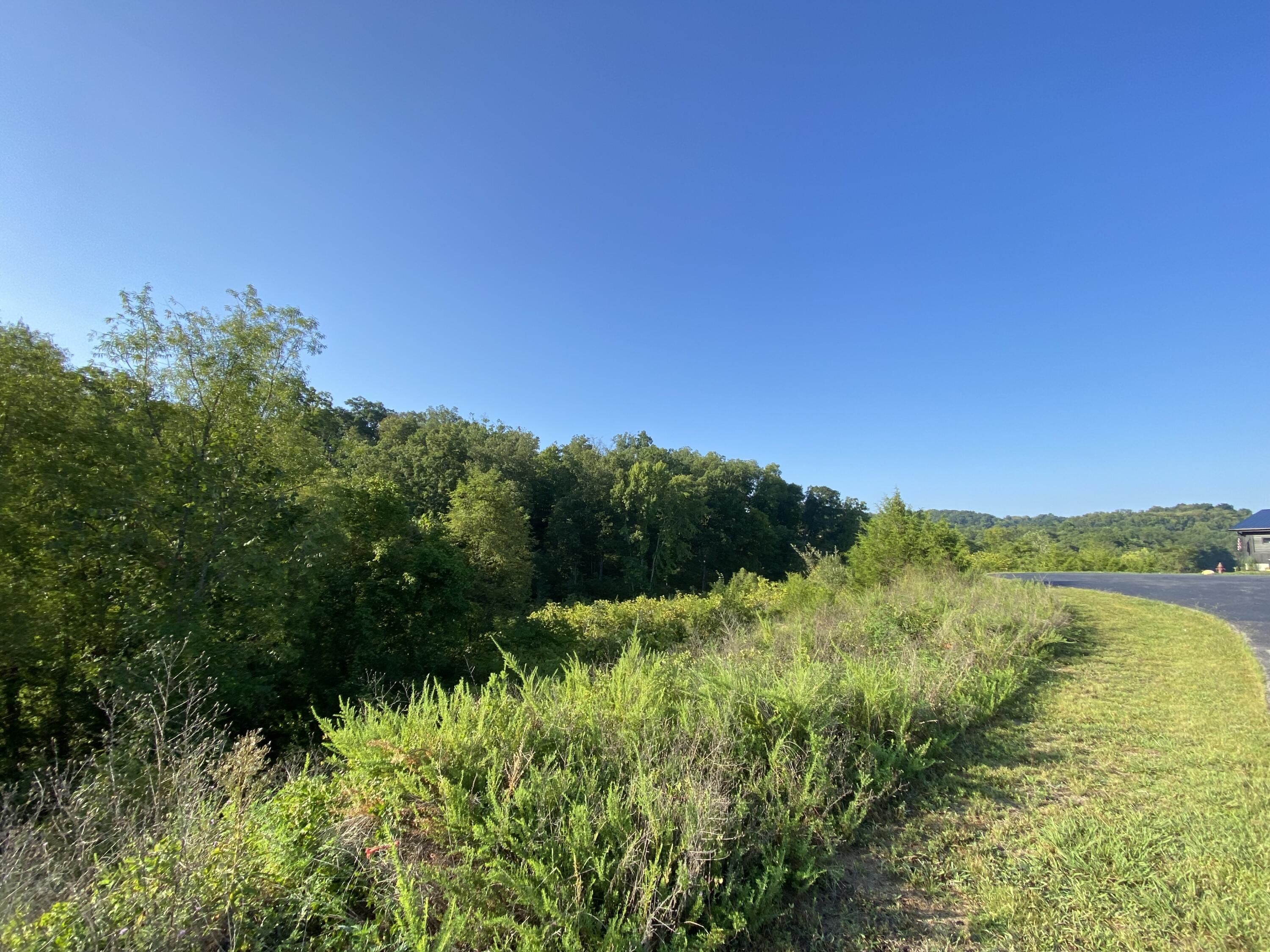 Lot 65 Sanctuary Shores Way Sevierville TN 37876