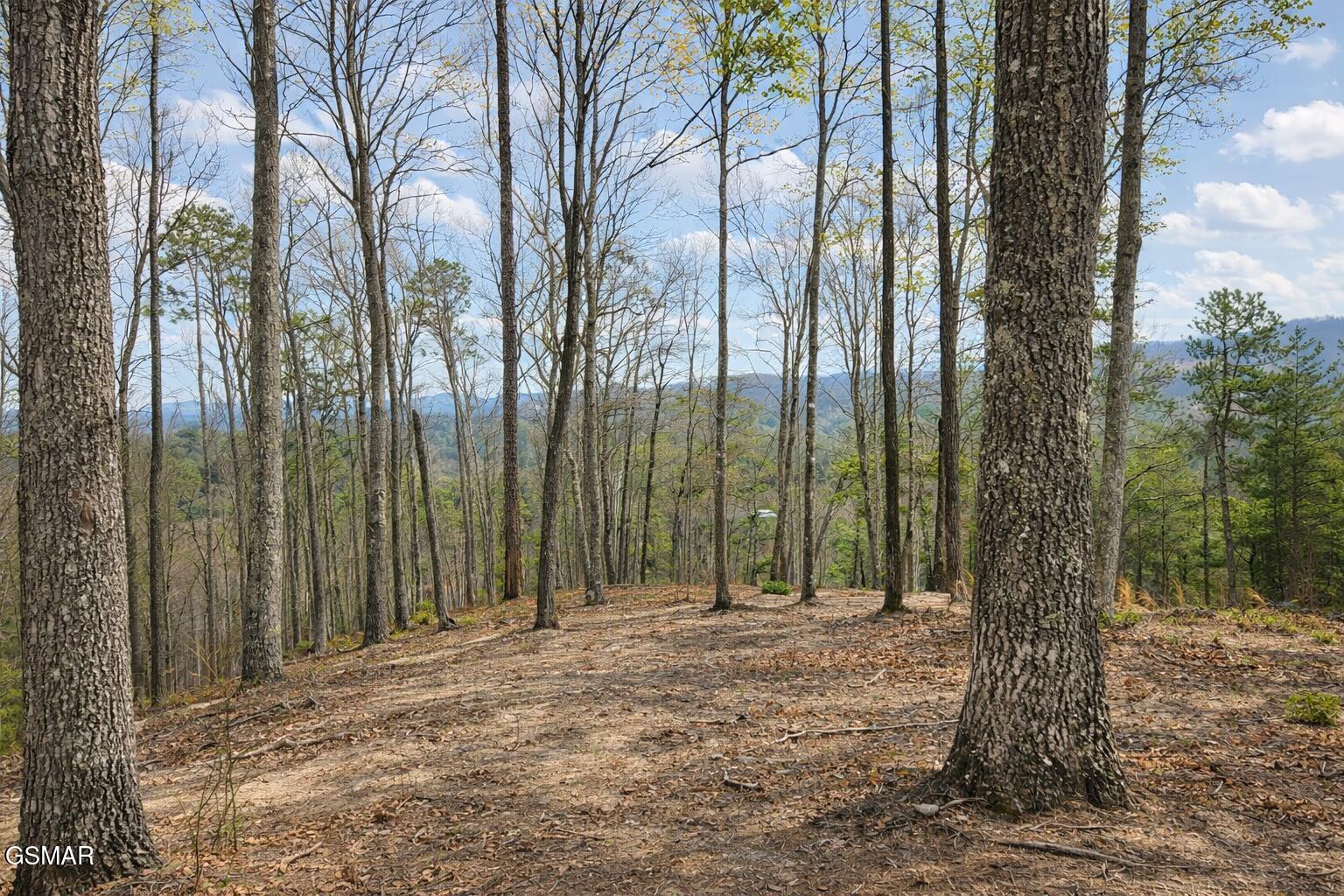 TR1-B Sulpher Springs Way Sevierville TN 37876