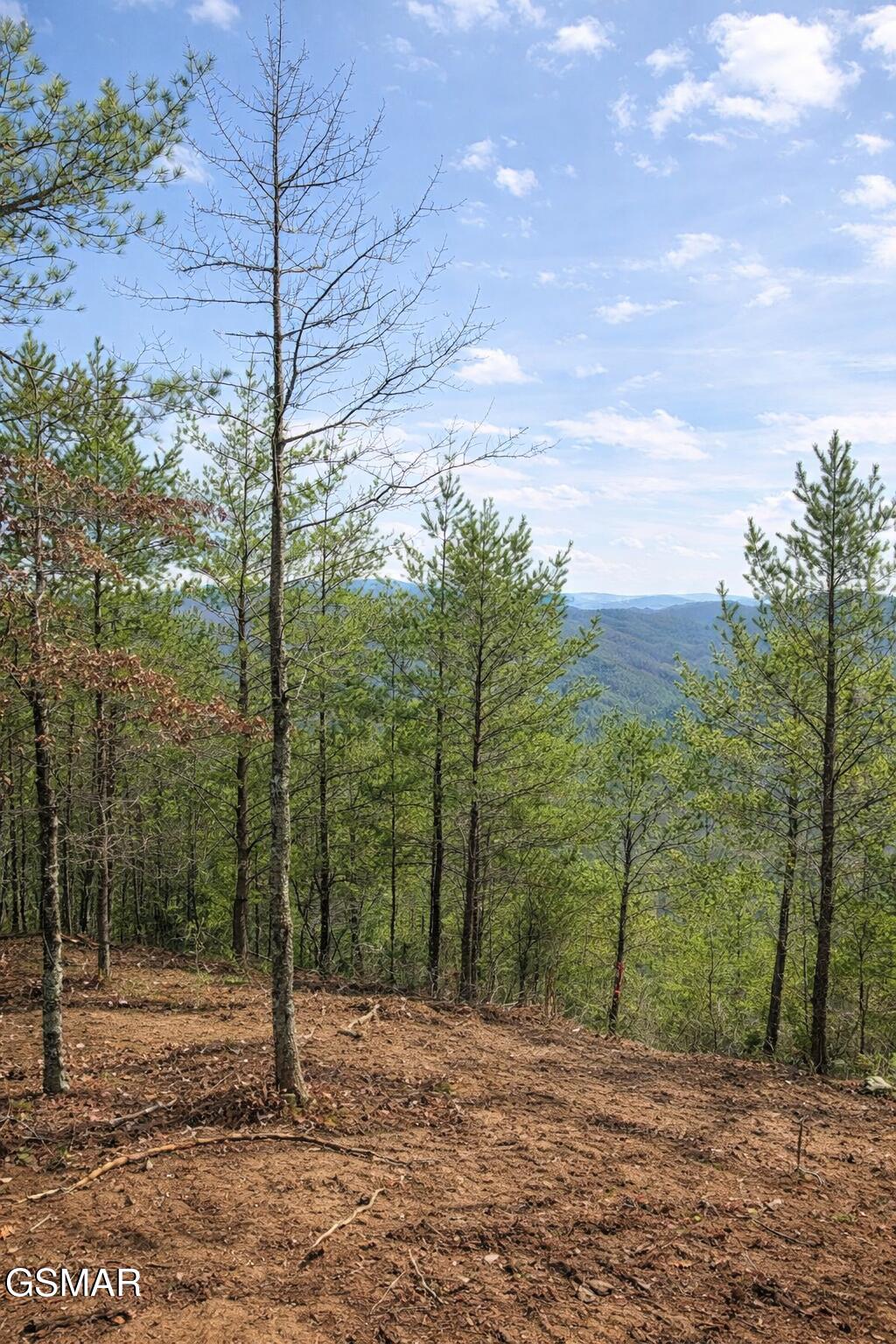 TR1-B Sulpher Springs Way Sevierville TN 37876