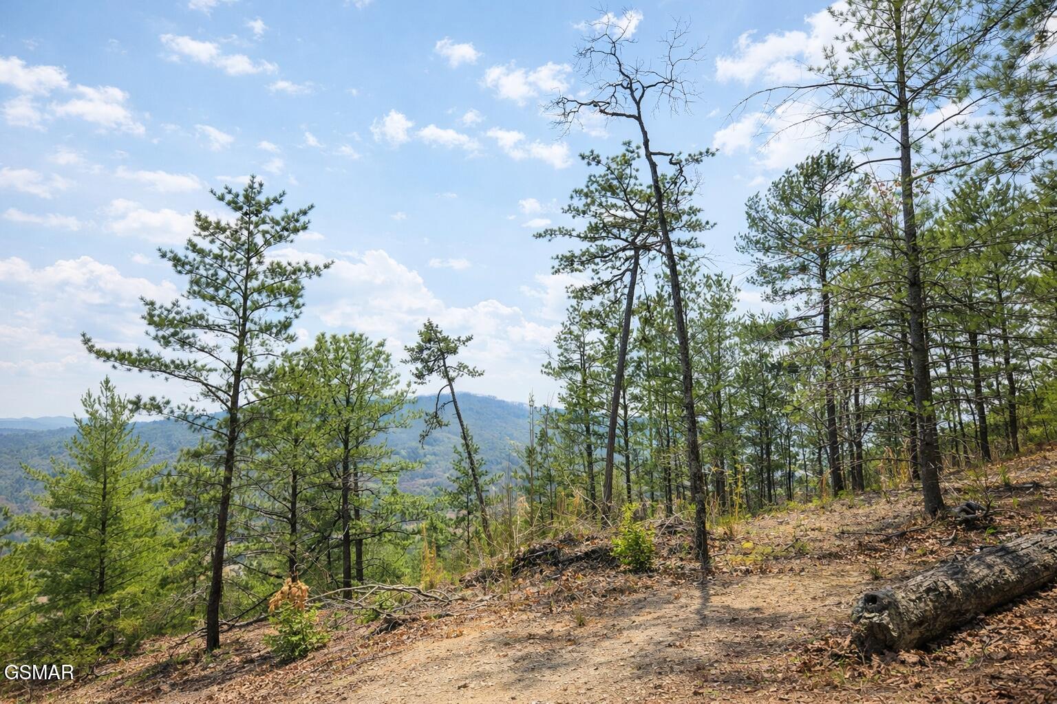 TR1-B Sulpher Springs Way Sevierville TN 37876