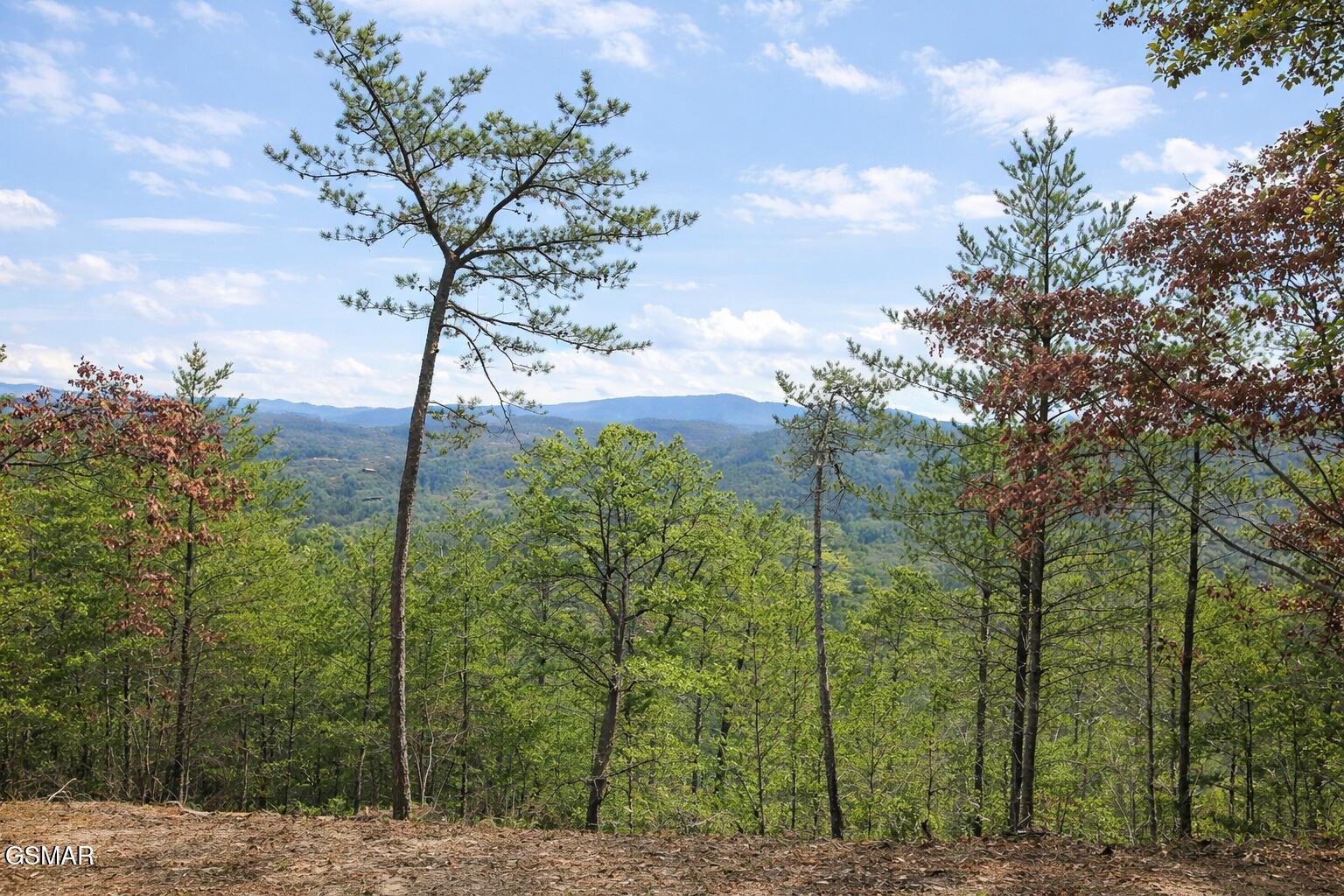 TR1-B Sulpher Springs Way Sevierville TN 37876