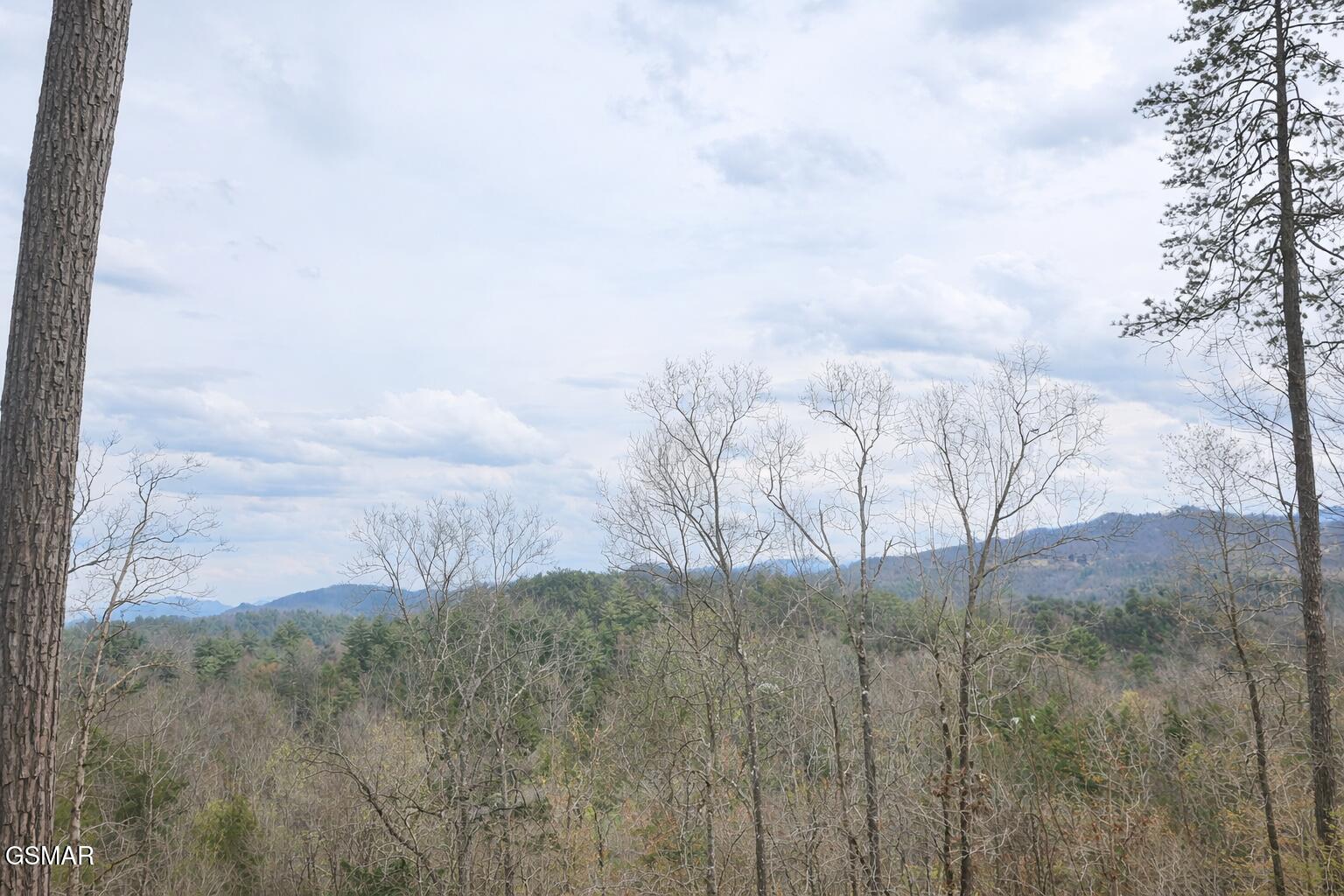 TR1-B Sulpher Springs Way Sevierville TN 37876