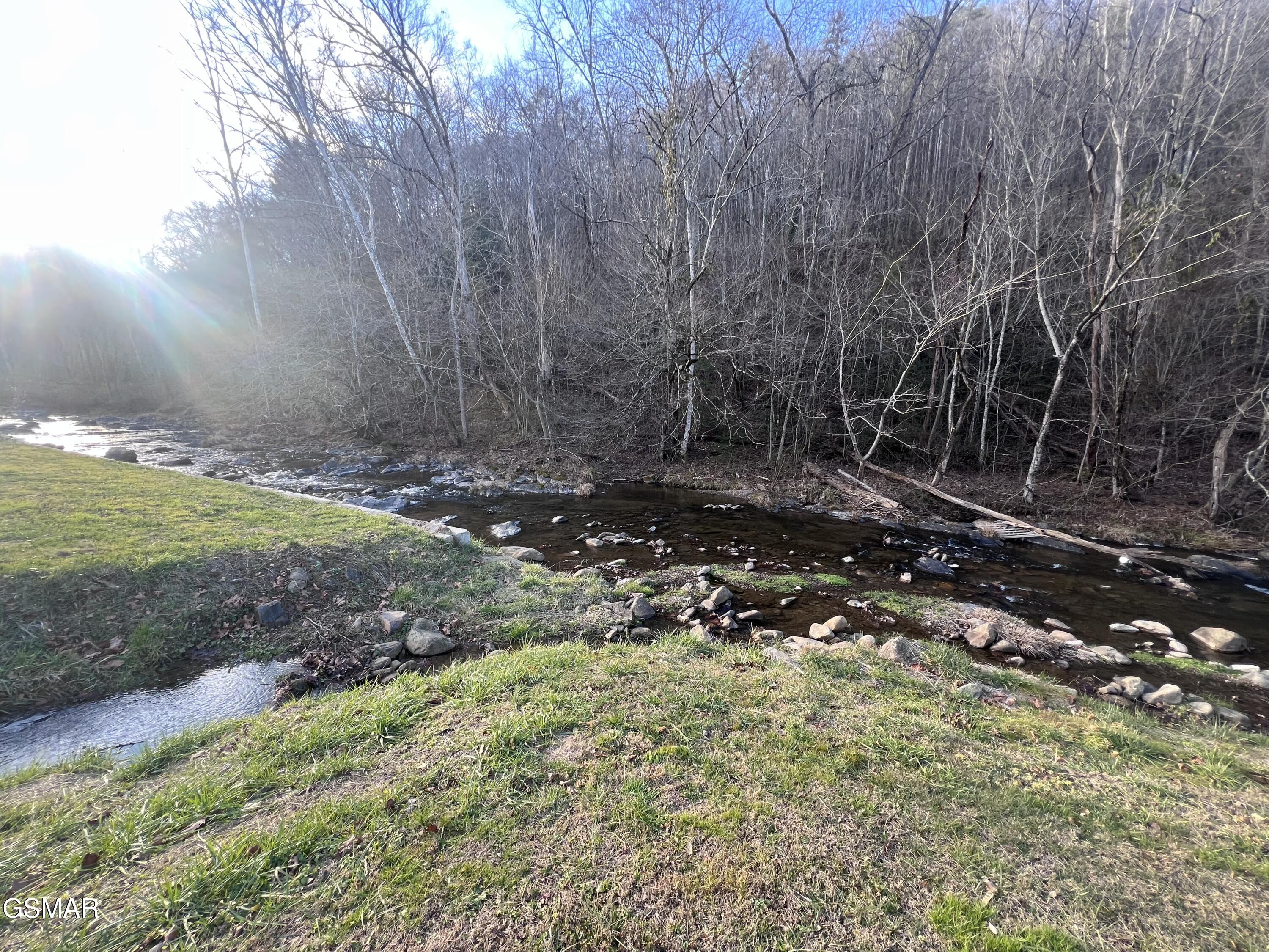 0 Blue Mill Road Del Rio TN 37727