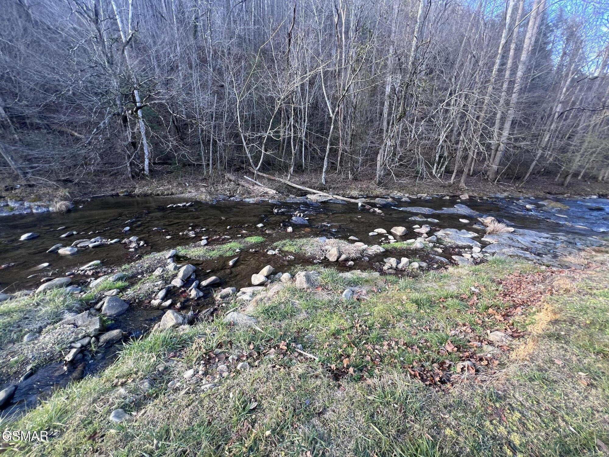 0 Blue Mill Road Del Rio TN 37727