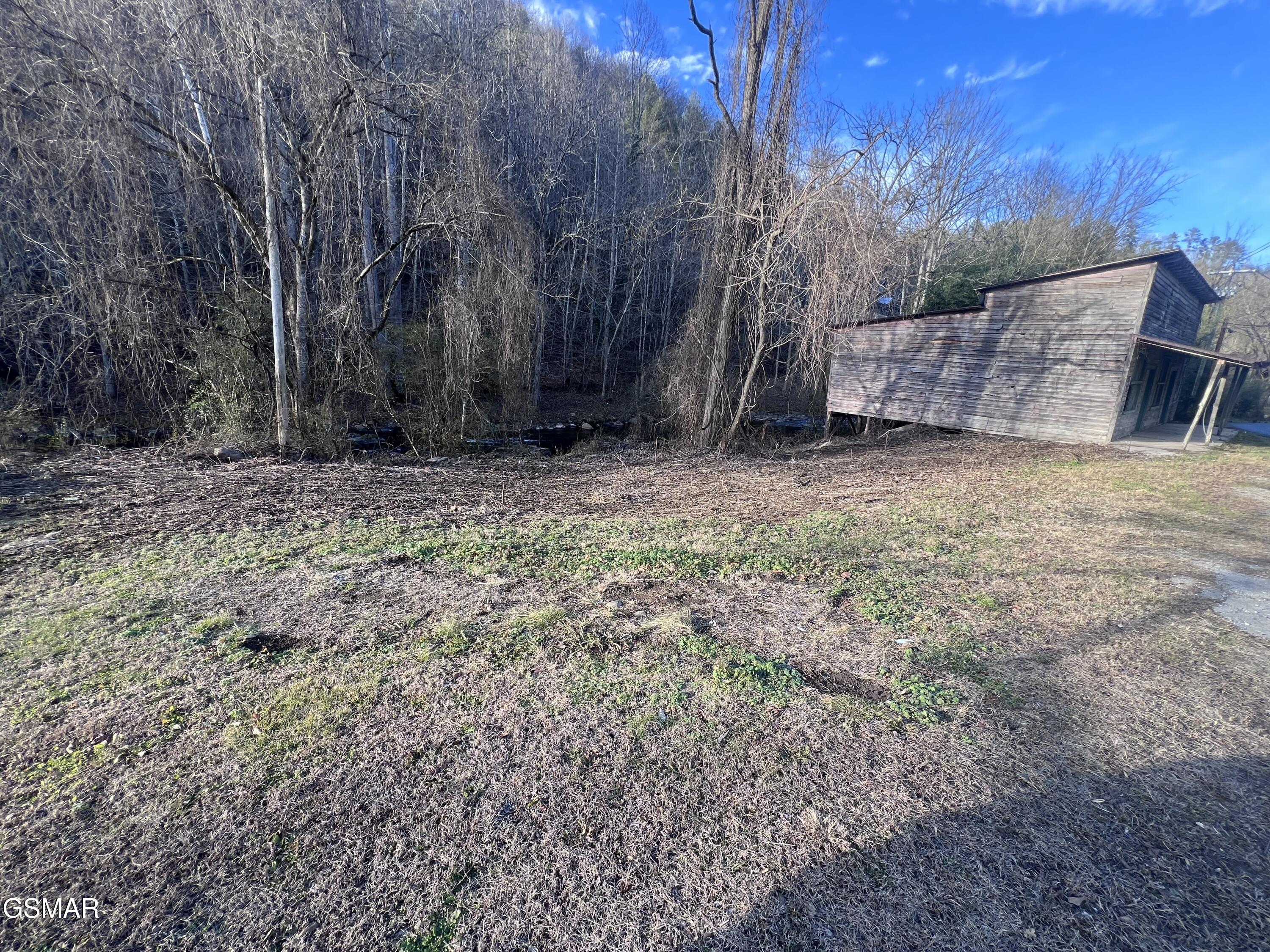 0 Blue Mill Road Del Rio TN 37727