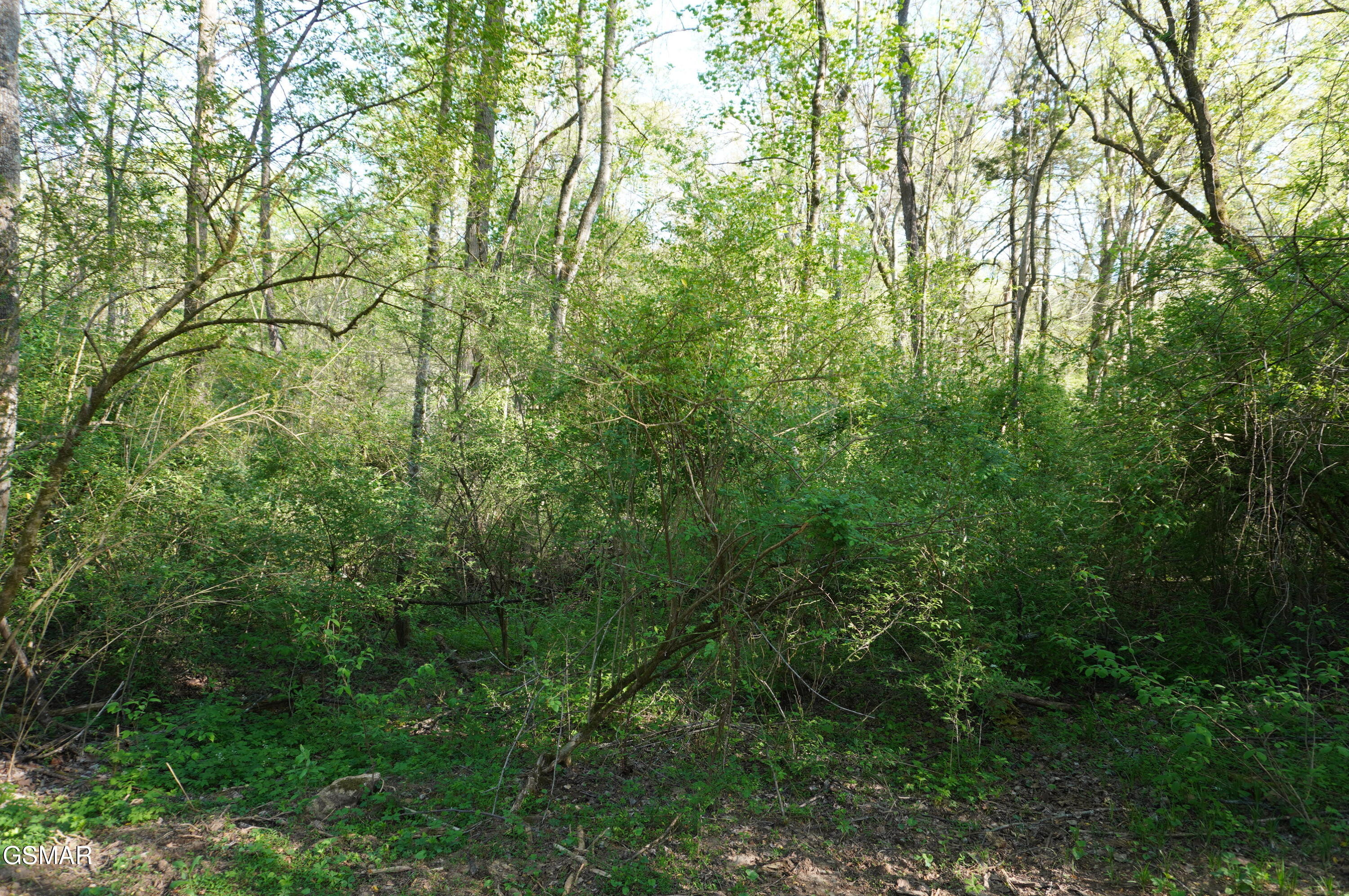 Lots 1-2 Golf Course Road Newport TN 37821