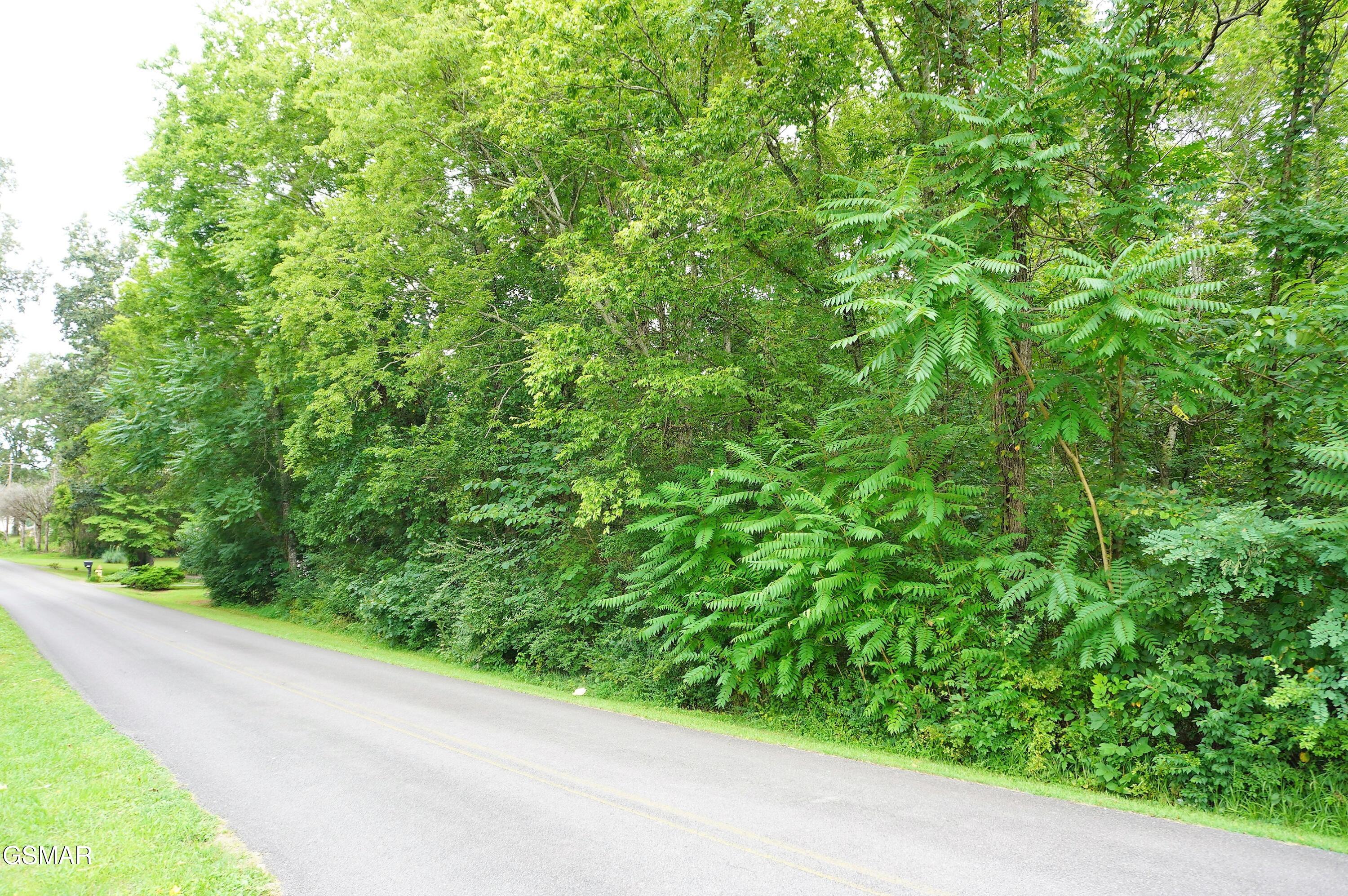Lots 1-2 Golf Course Road Newport TN 37821
