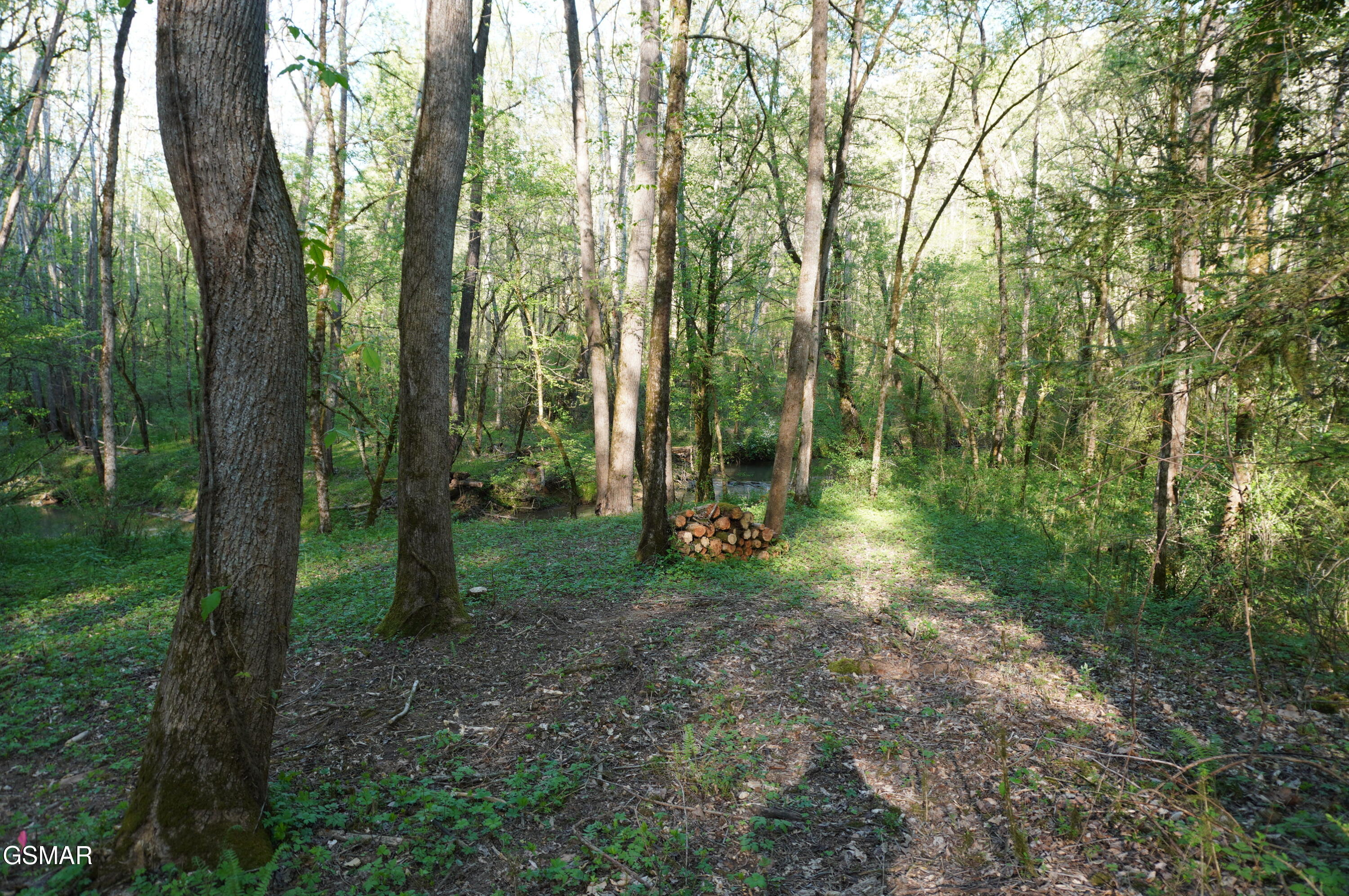 Lots 1-2 Golf Course Road Newport TN 37821