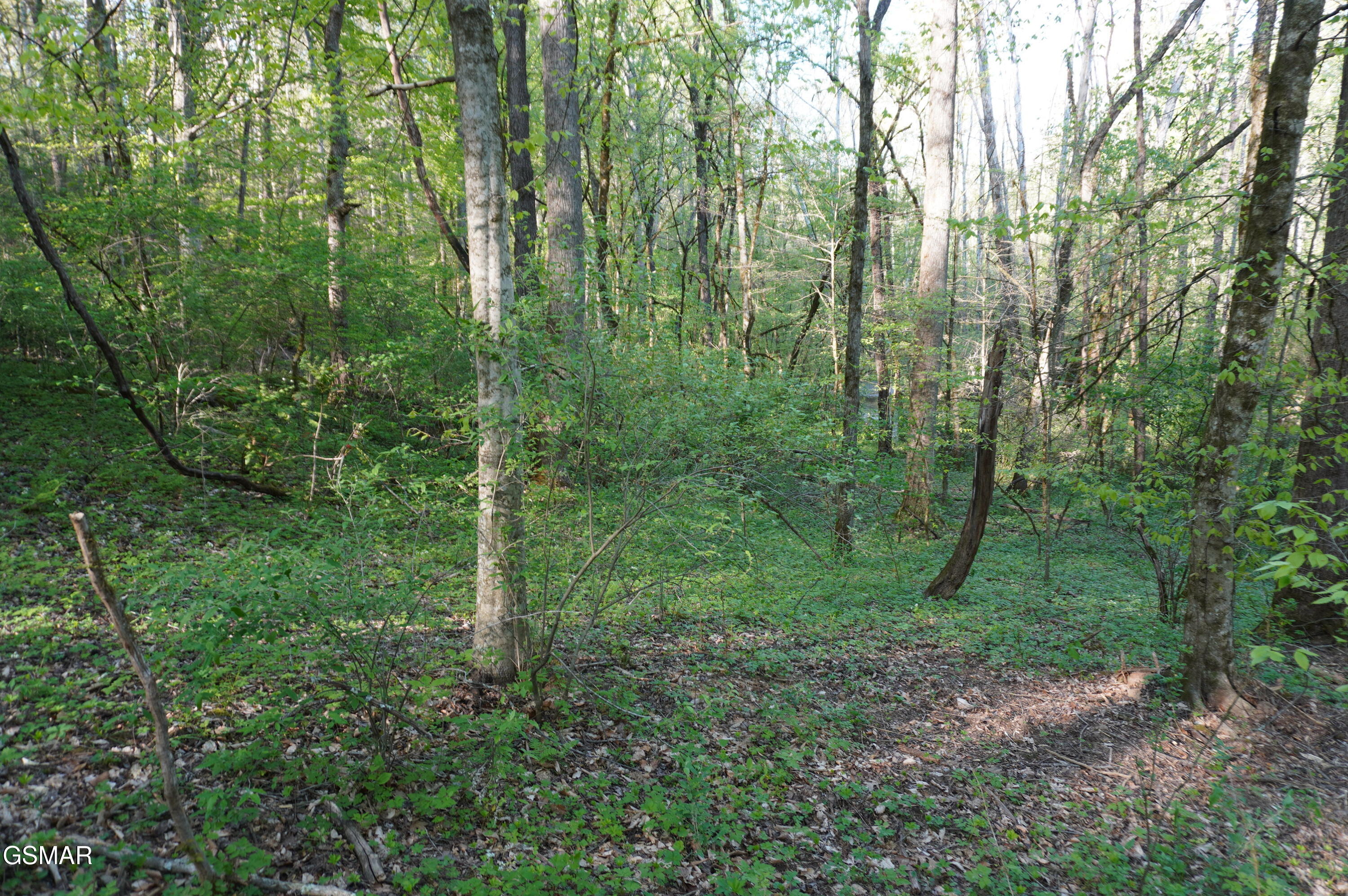 Lots 1-2 Golf Course Road Newport TN 37821
