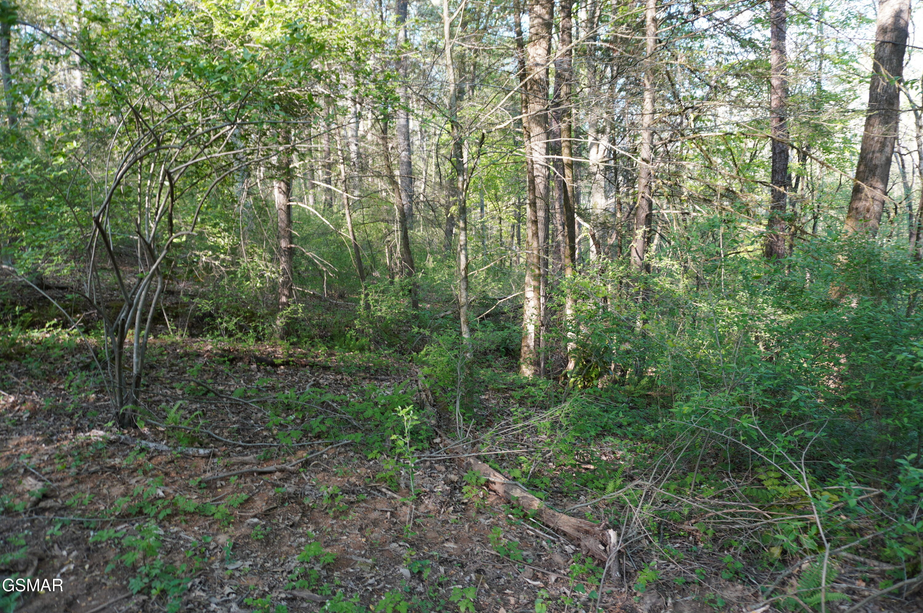 Lots 1-2 Golf Course Road Newport TN 37821