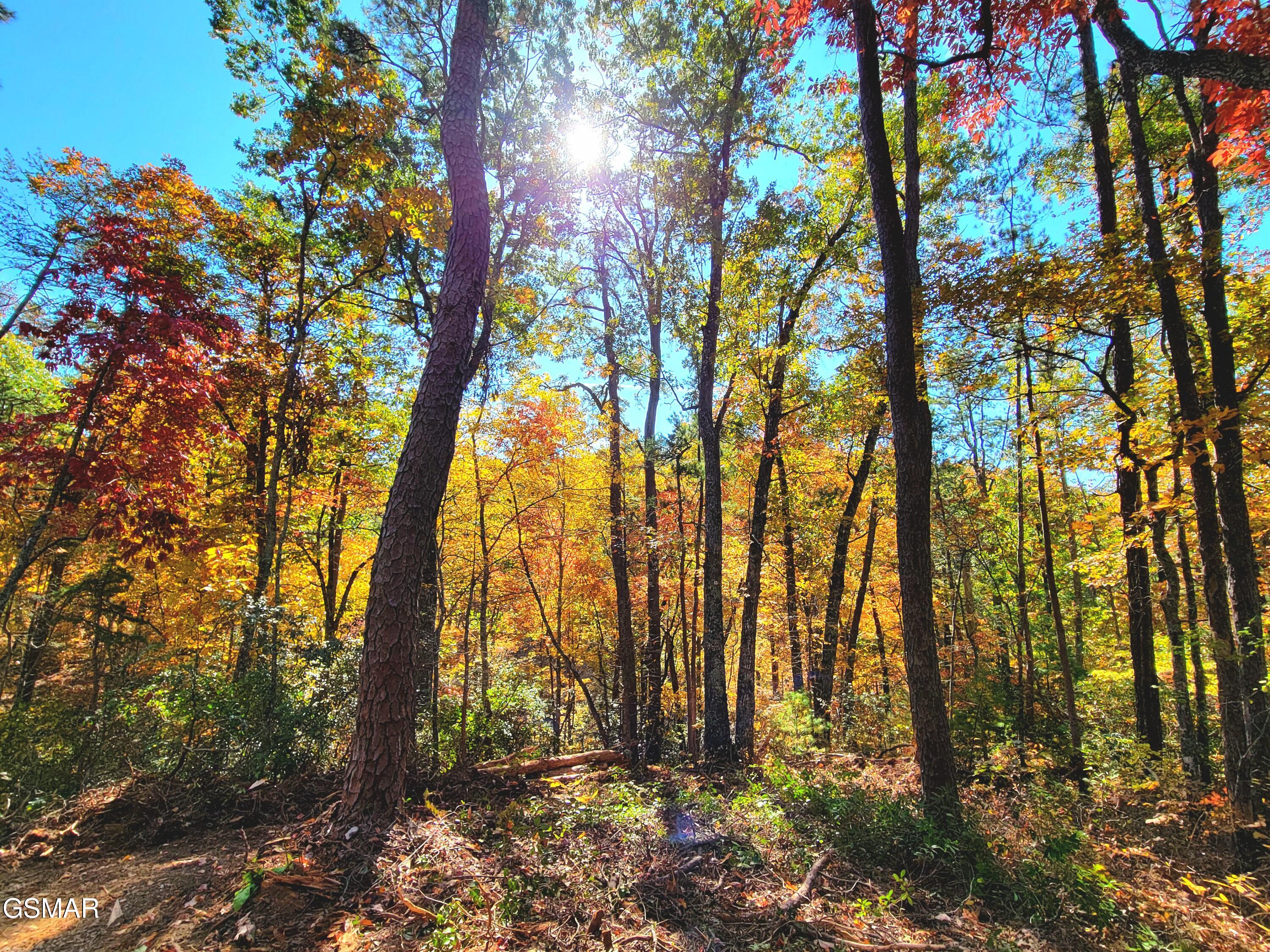 Lot # 54 Riversong Ridge Way Sevierville TN 37876