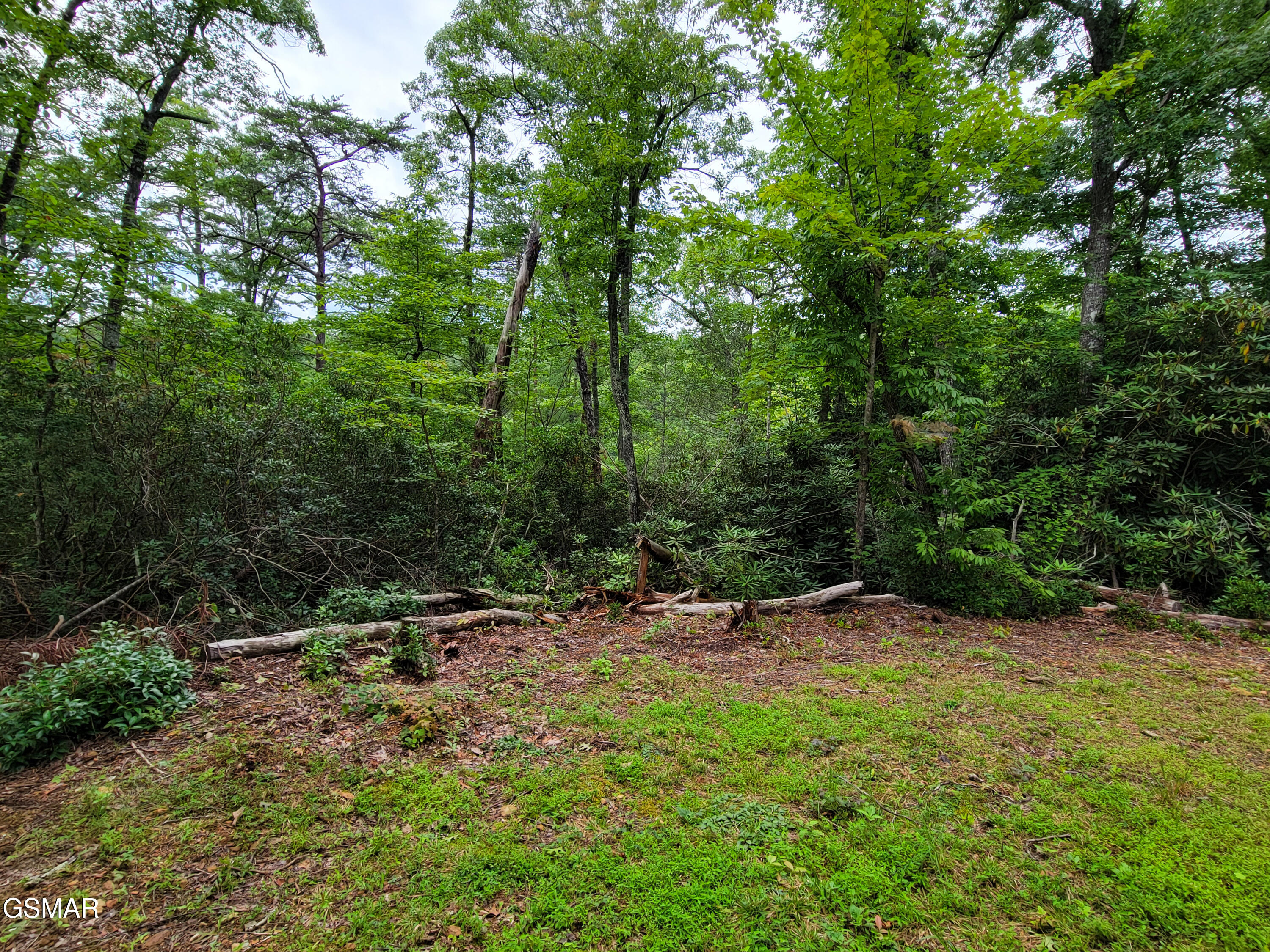 Lot # 54 Riversong Ridge Way Sevierville TN 37876