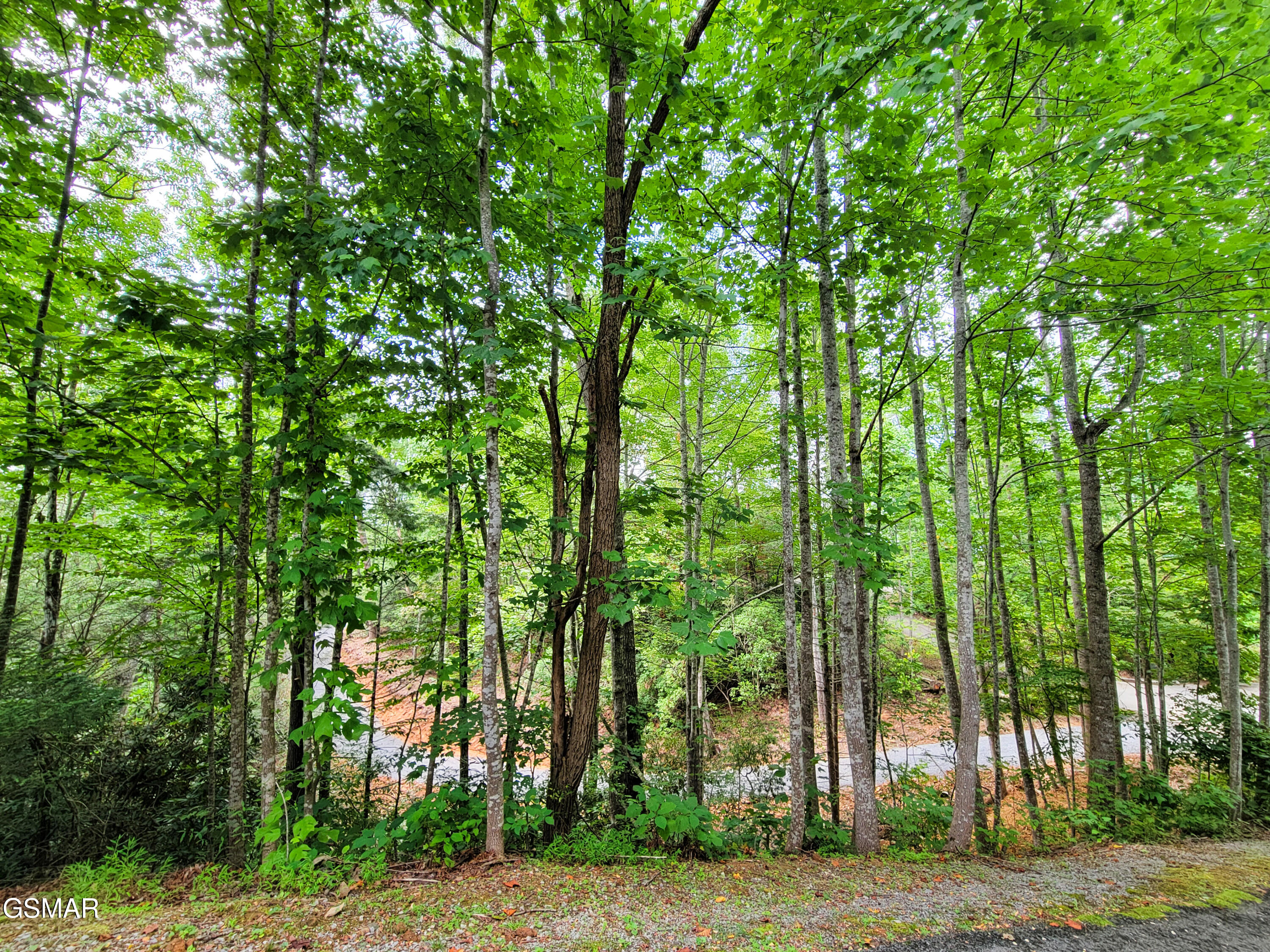 Lot # 54 Riversong Ridge Way Sevierville TN 37876