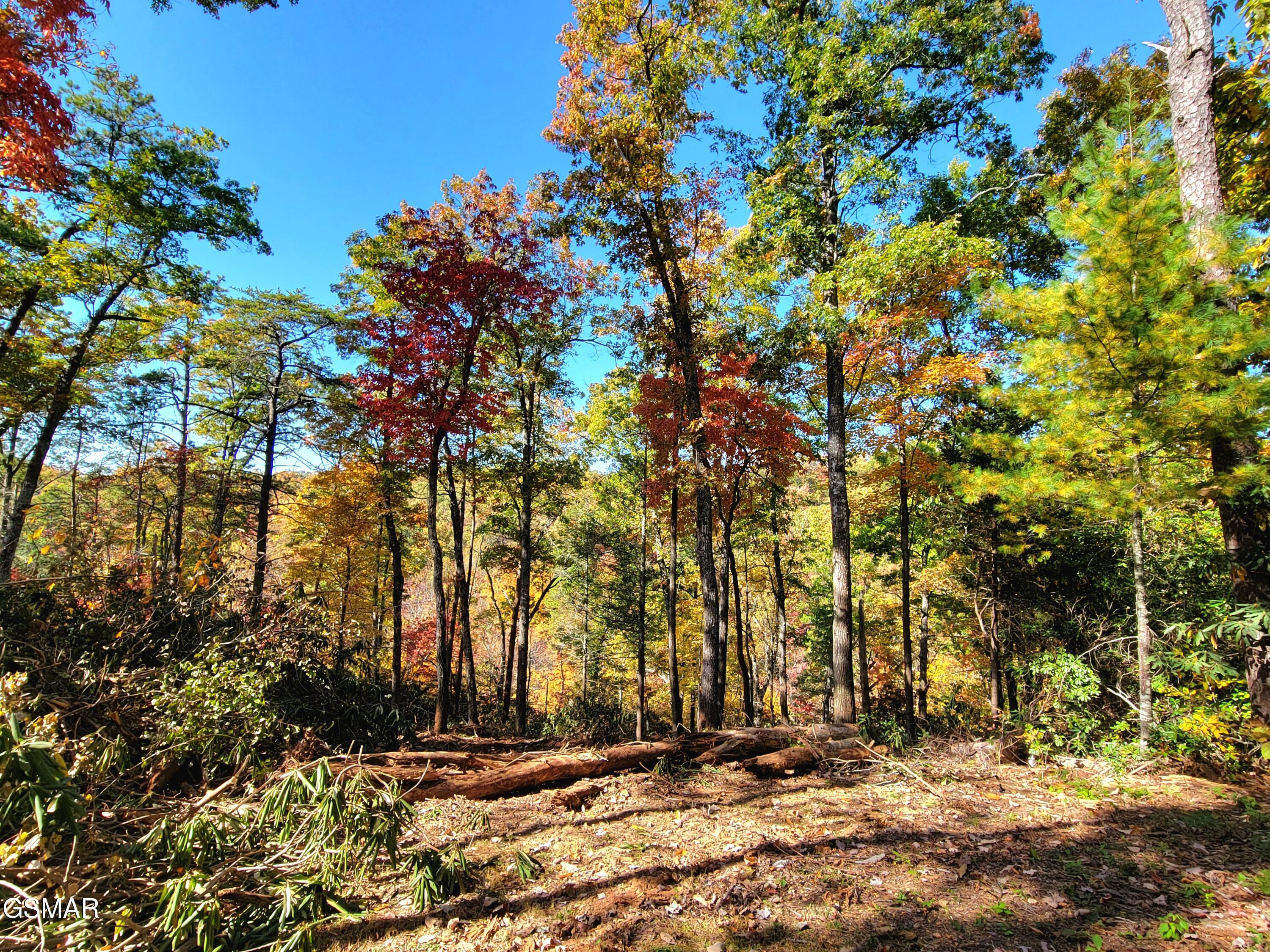 Lot # 54 Riversong Ridge Way Sevierville TN 37876