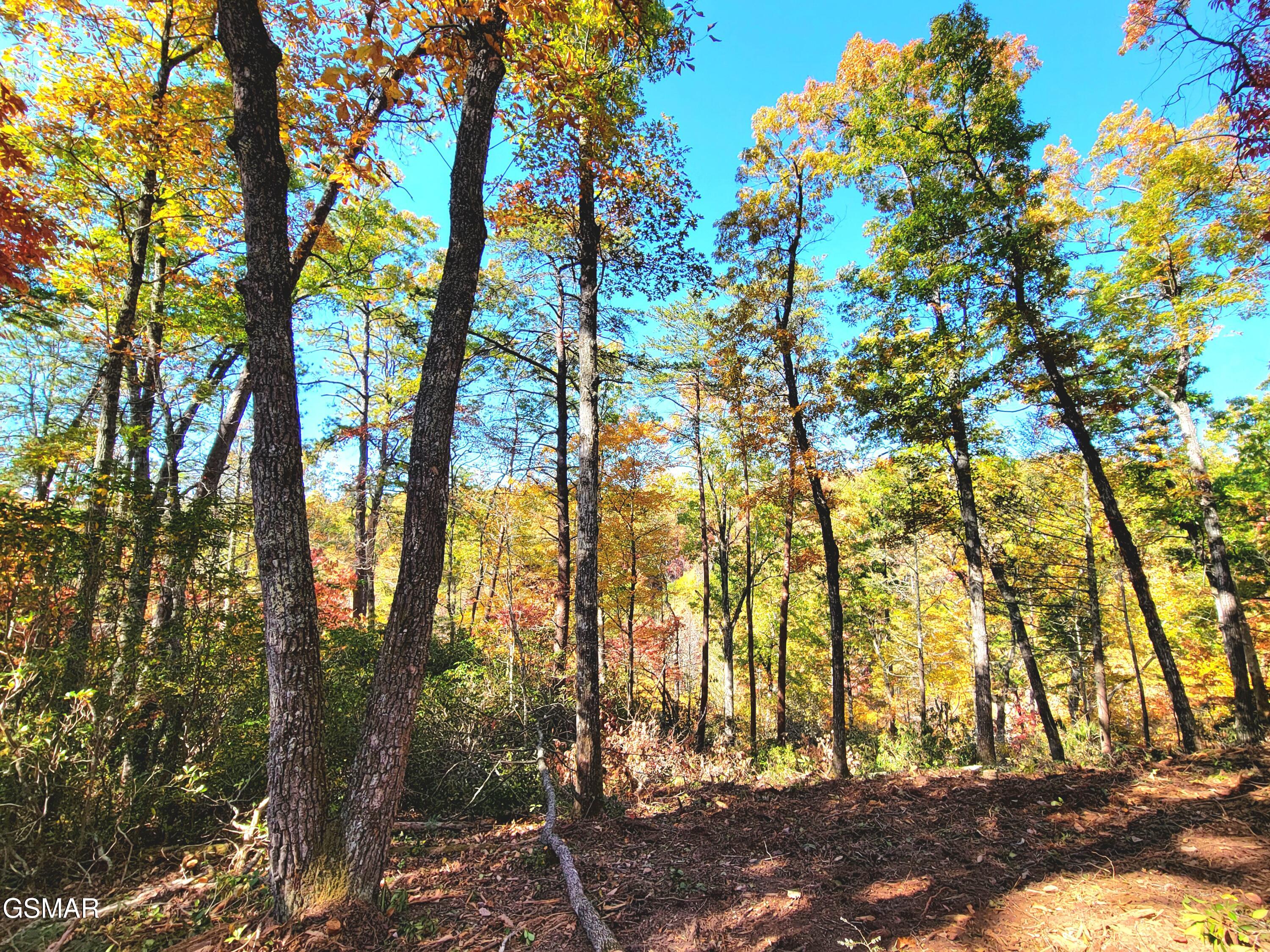 Lot # 54 Riversong Ridge Way Sevierville TN 37876