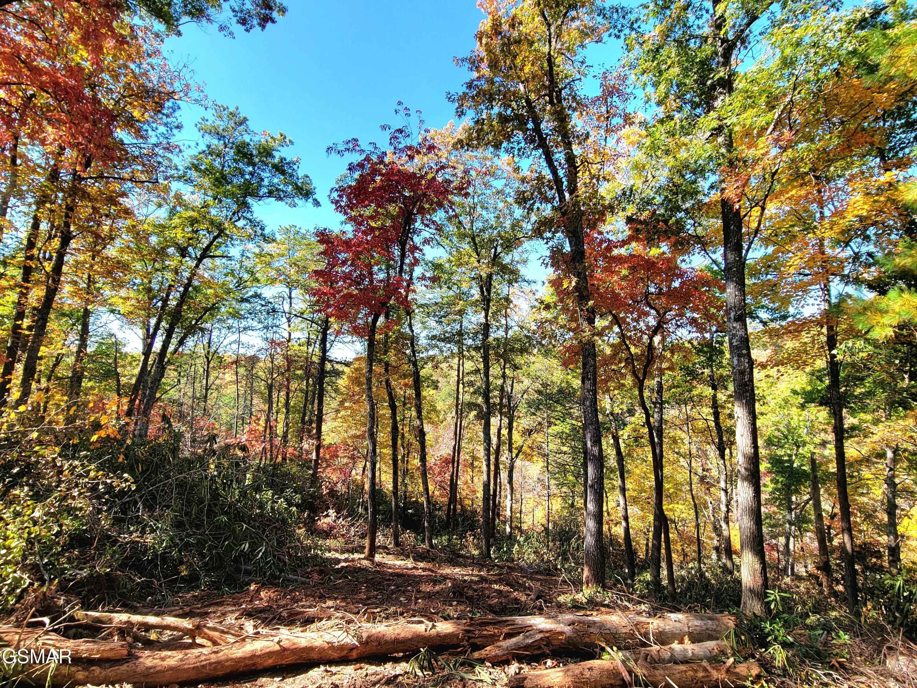 Lot # 54 Riversong Ridge Way Sevierville TN 37876