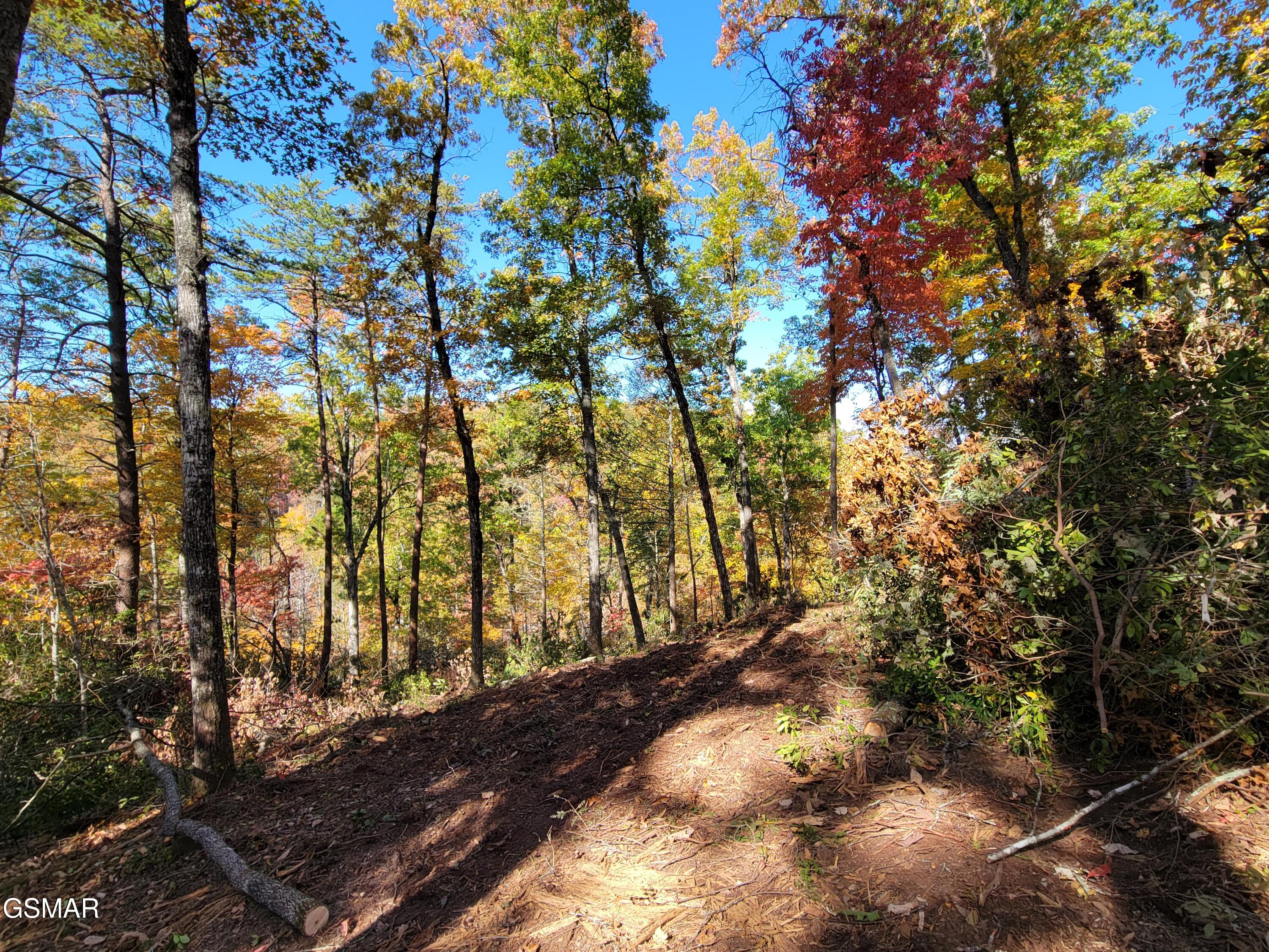 Lot # 54 Riversong Ridge Way Sevierville TN 37876