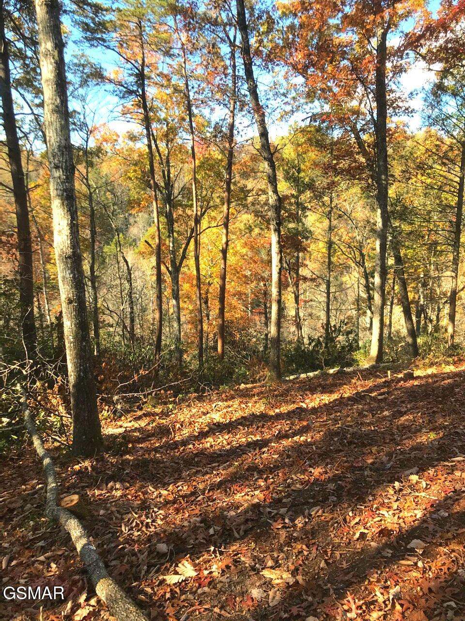 Lot # 54 Riversong Ridge Way Sevierville TN 37876