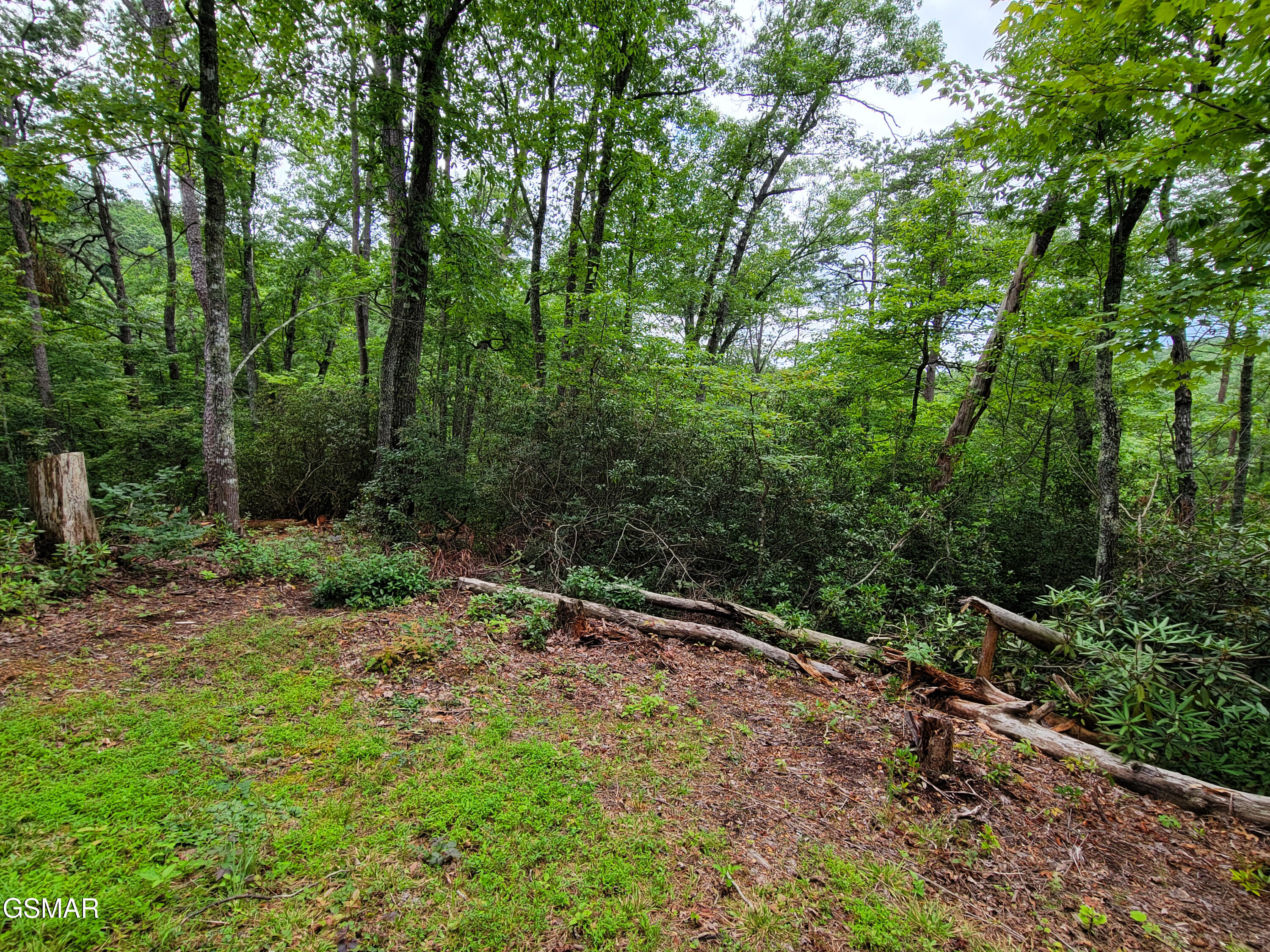Lot # 54 Riversong Ridge Way Sevierville TN 37876