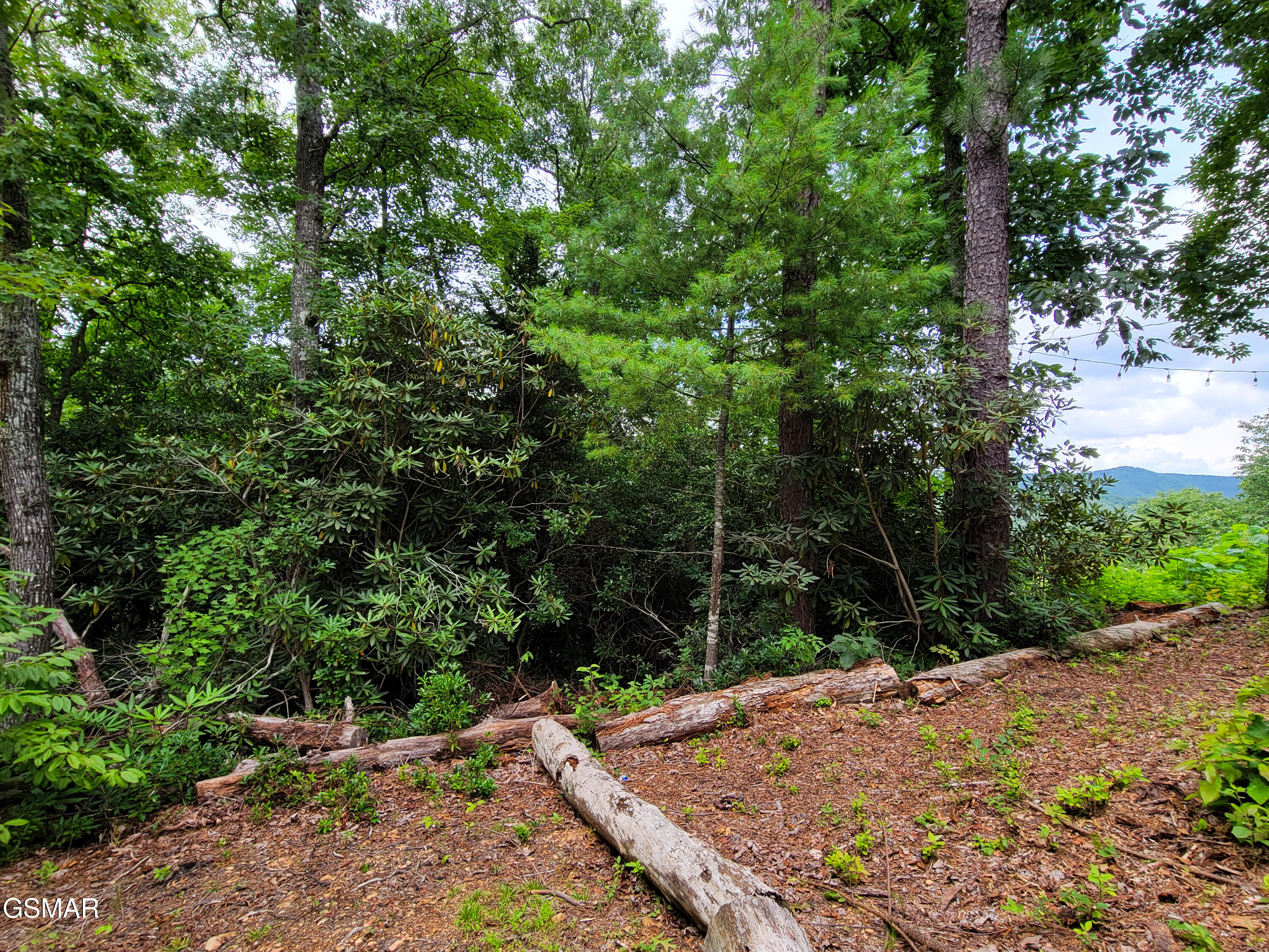 Lot # 54 Riversong Ridge Way Sevierville TN 37876