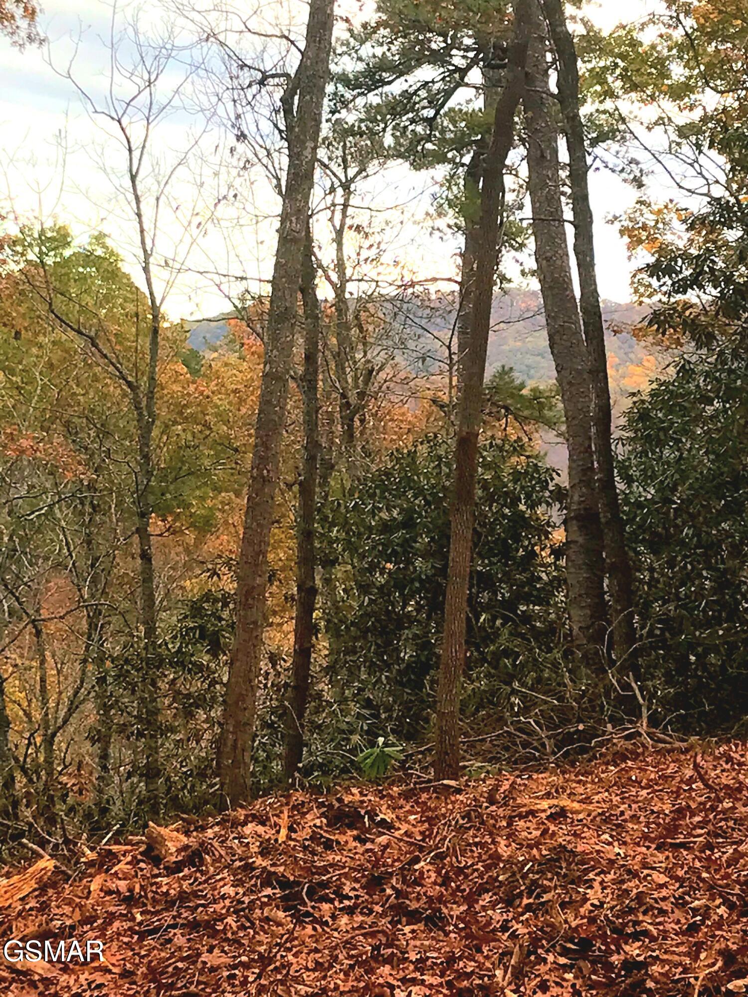 Lot # 54 Riversong Ridge Way Sevierville TN 37876